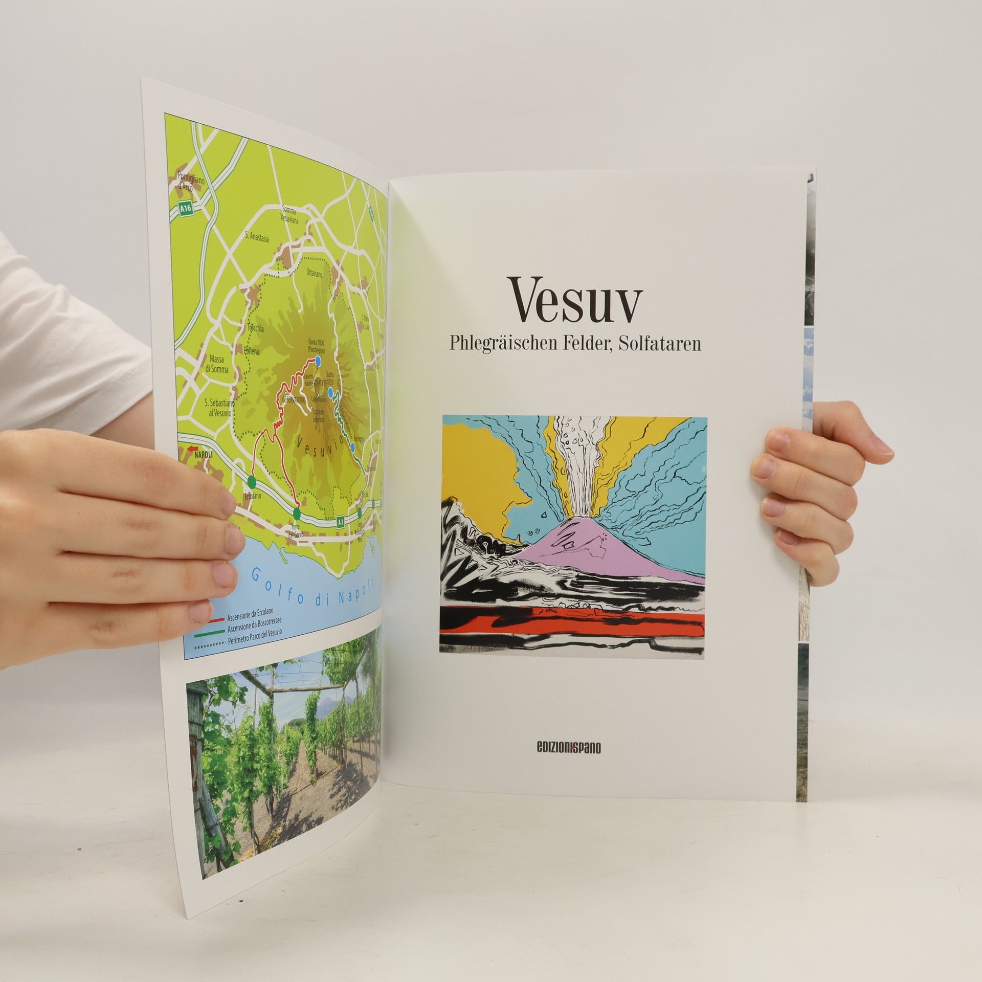 Autores varios Vesuv