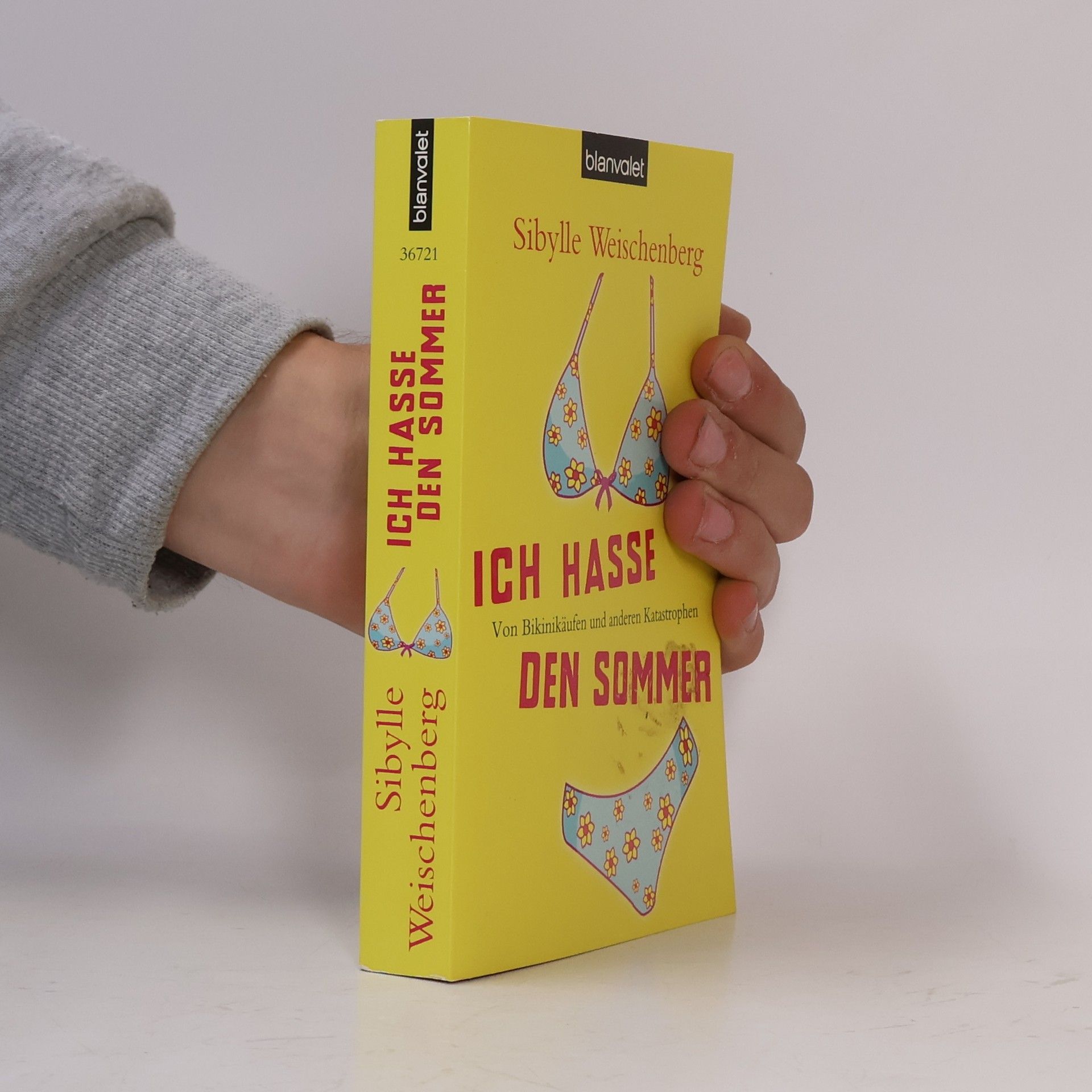 Sibylle Weischenberg Ich hasse den Sommer