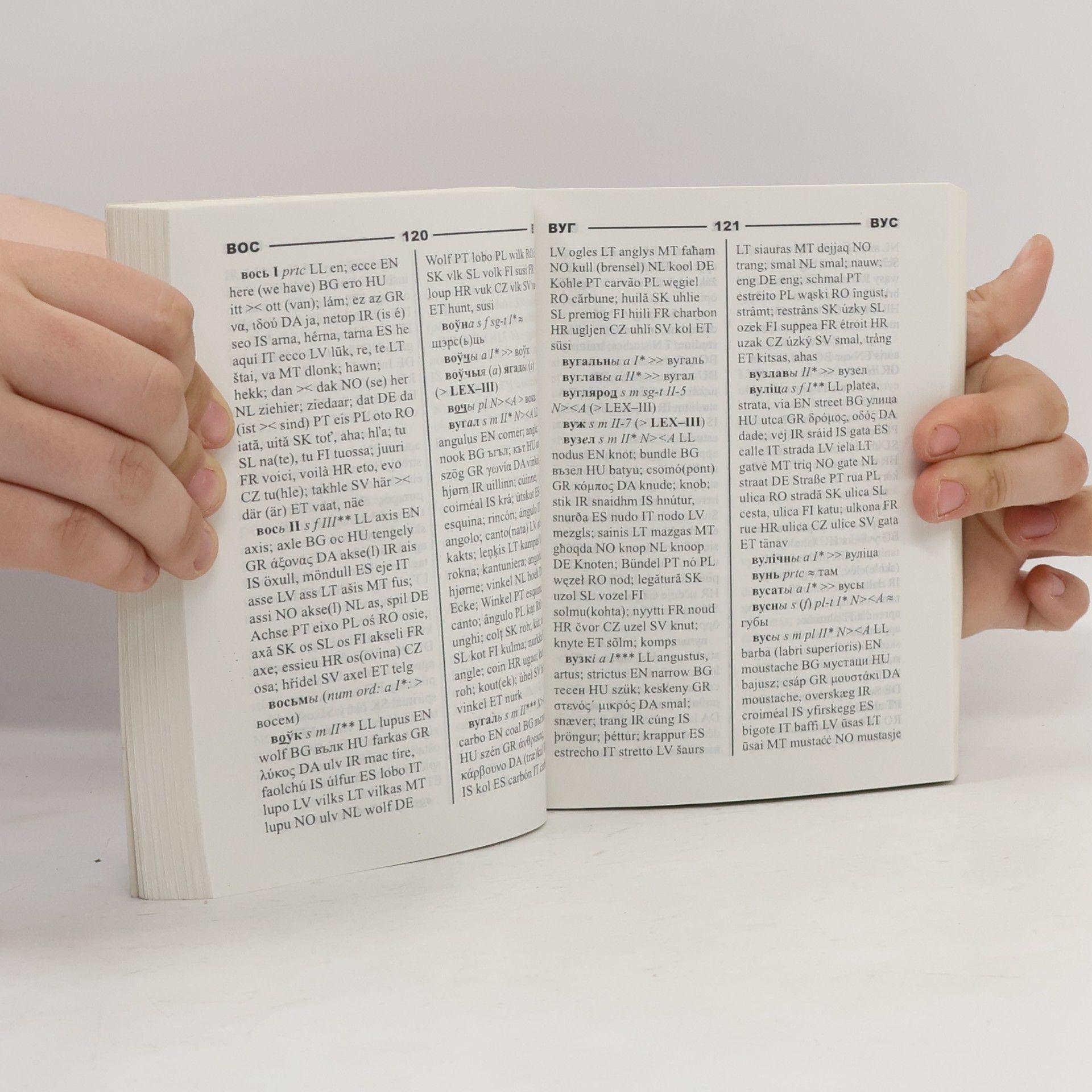 Lâvon Pâtrovìč Barščèŭskì EuroThesaurus
