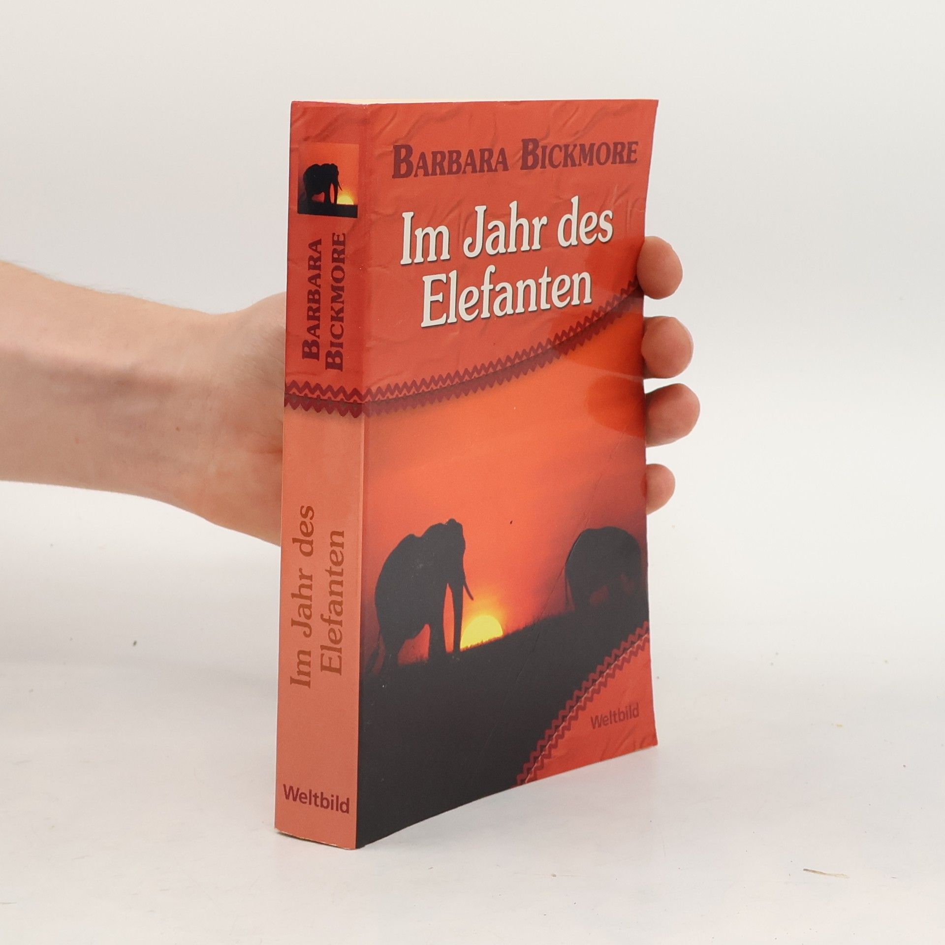 Barbara Bickmore Im Jahr des Elefanten