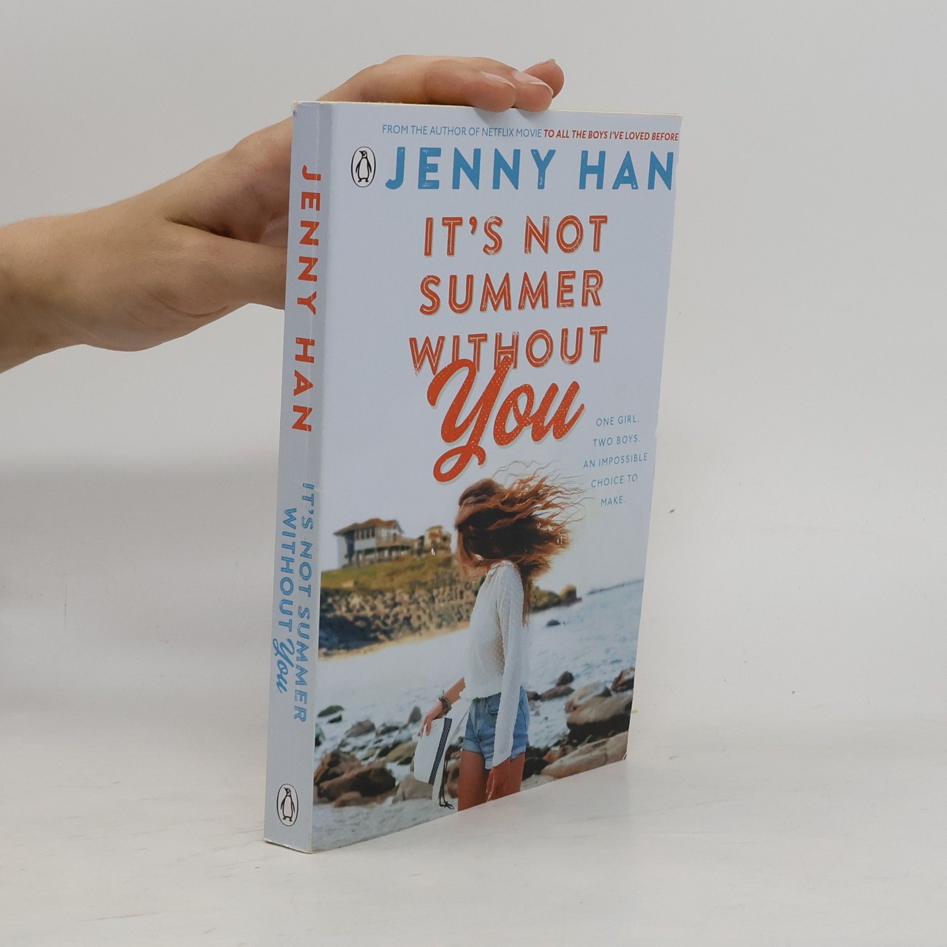 Jenny Han It's Not Summer Without You