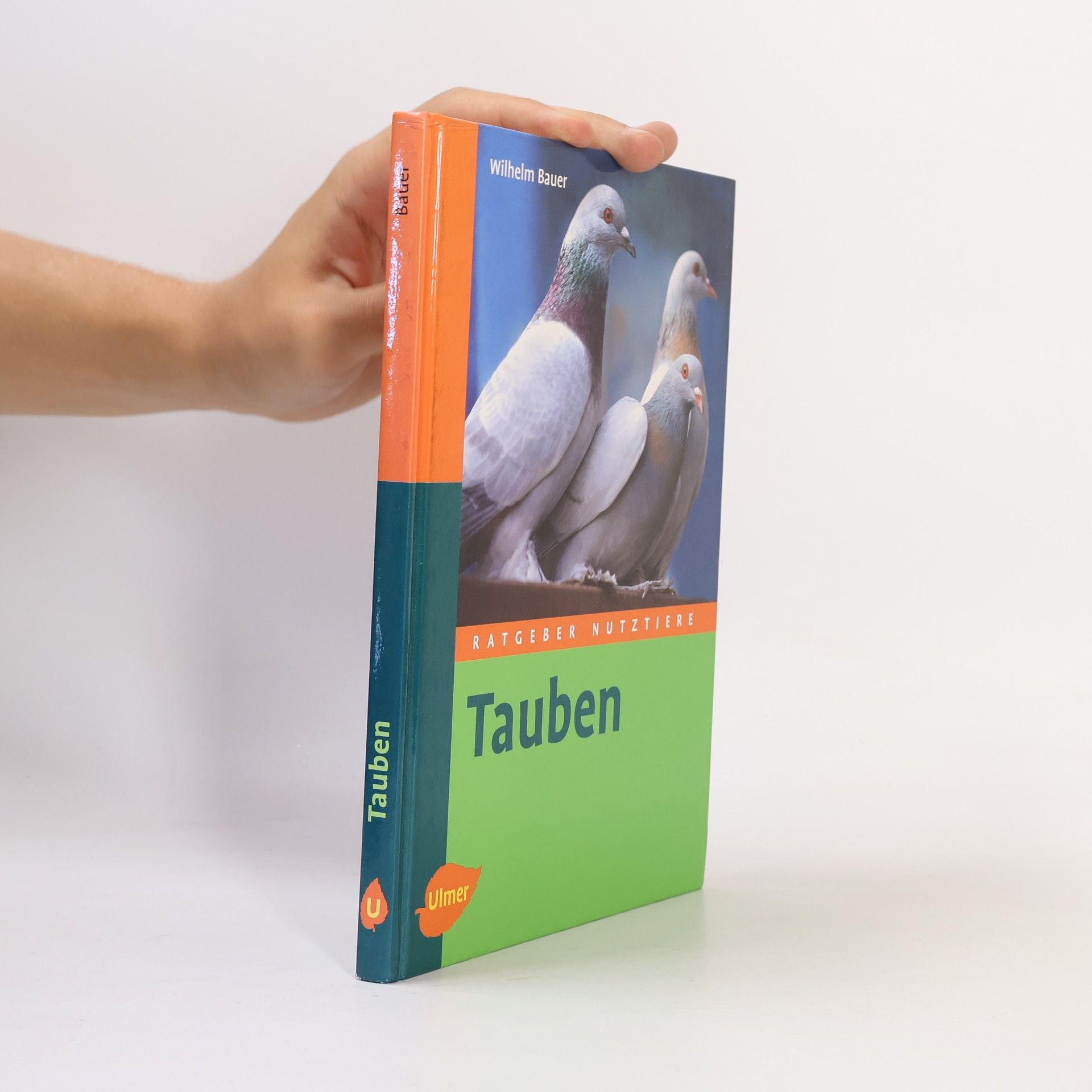 Wilhelm Bauer Tauben