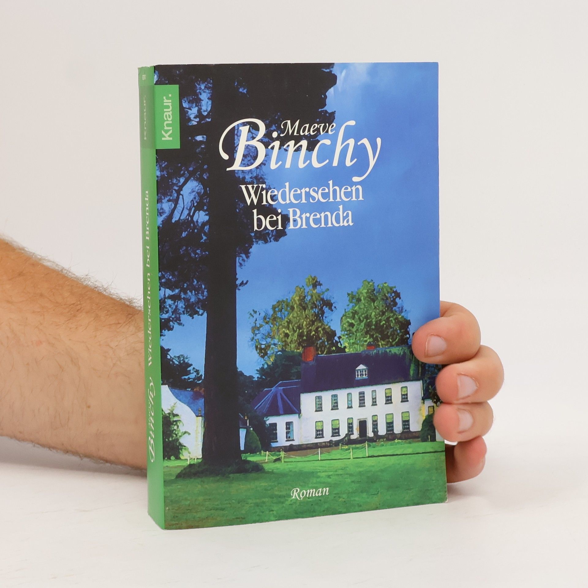 Maeve Binchy Wiedersehen bei Brenda
