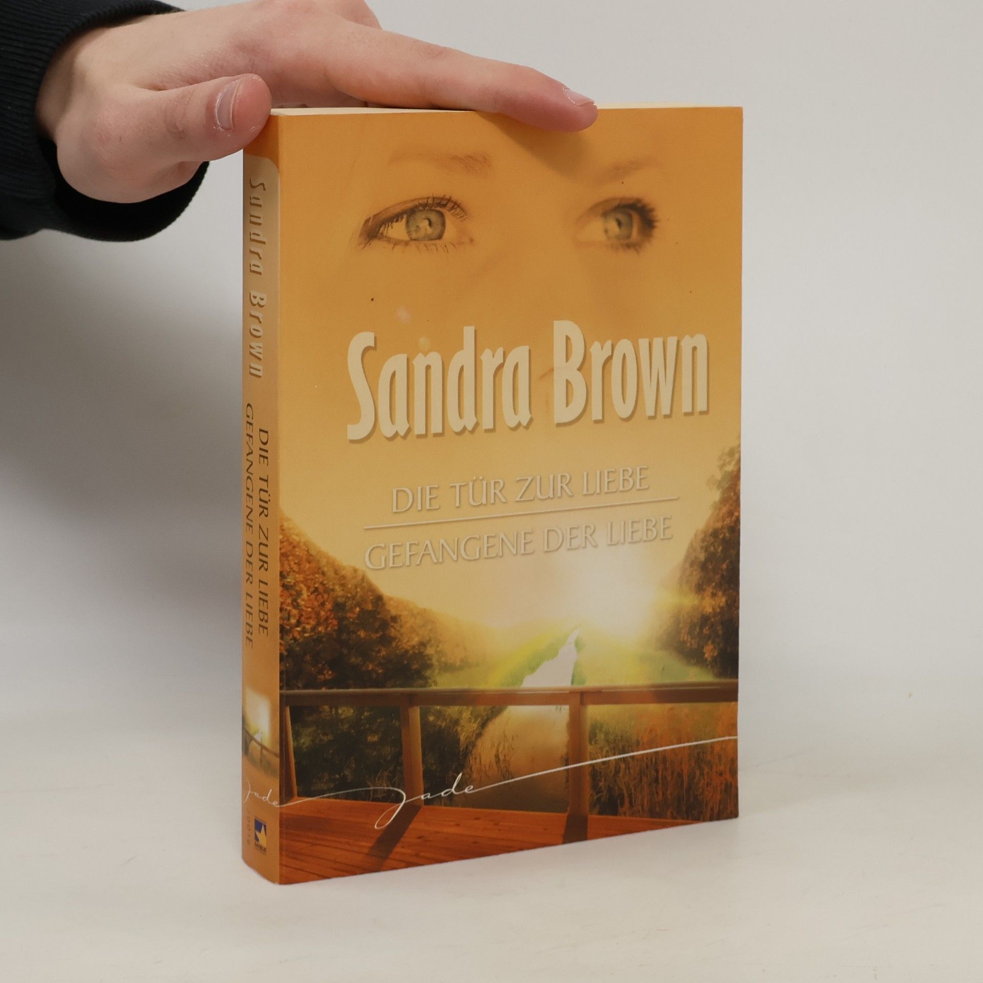 Sandra Brown Die Tür zur Liebe; Gefangene der Liebe
