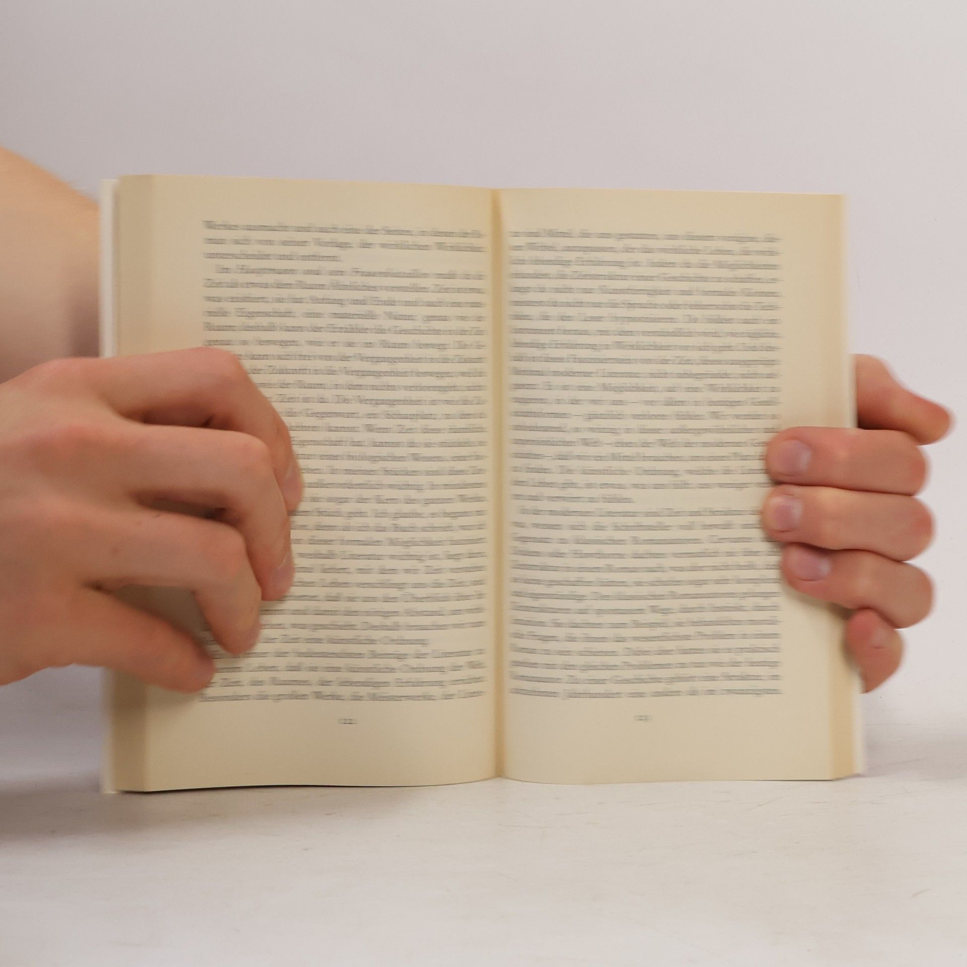 Mario Vargas Llosa Die Wirklichkeit des Schriftstellers