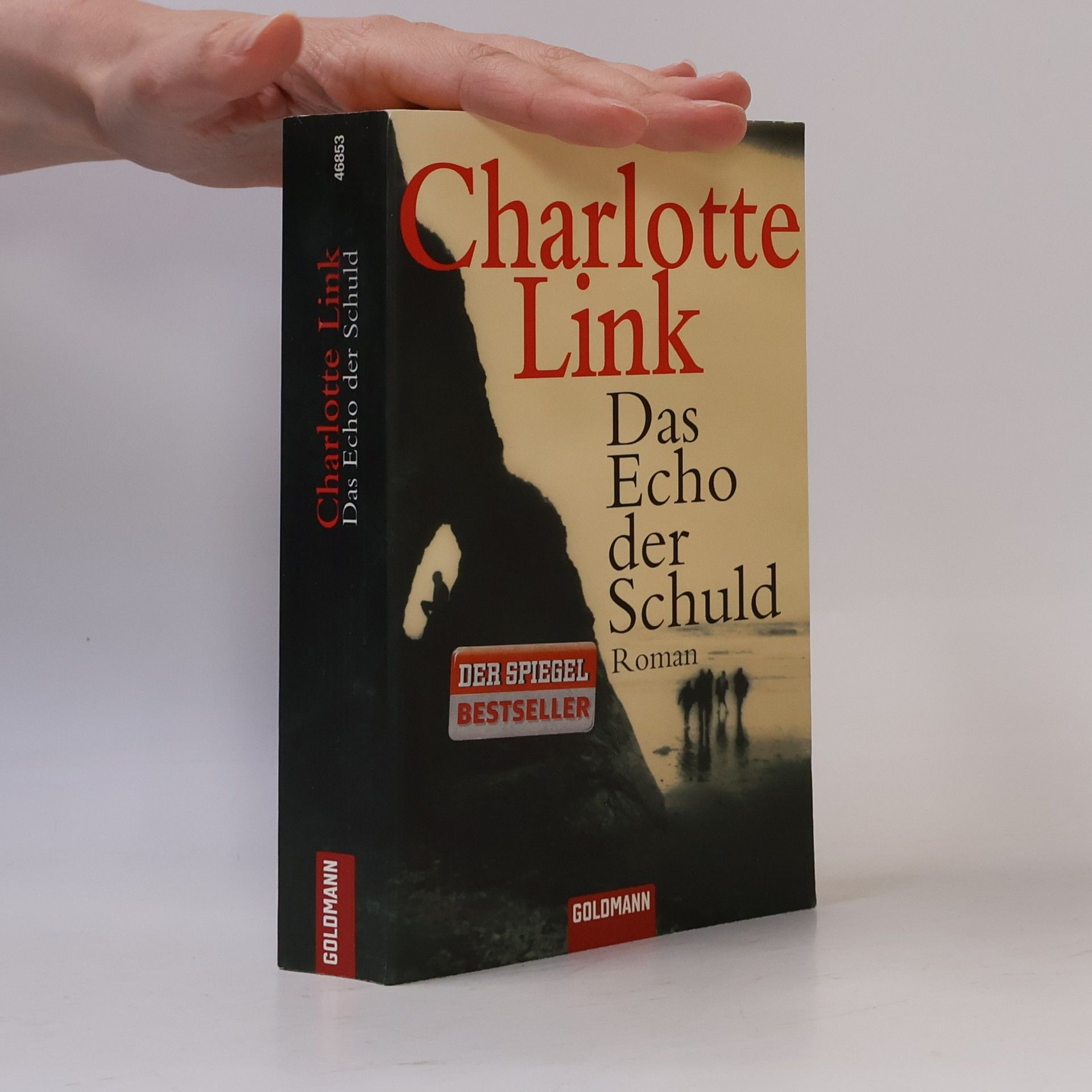 Charlotte Link Das Echo der Schuld