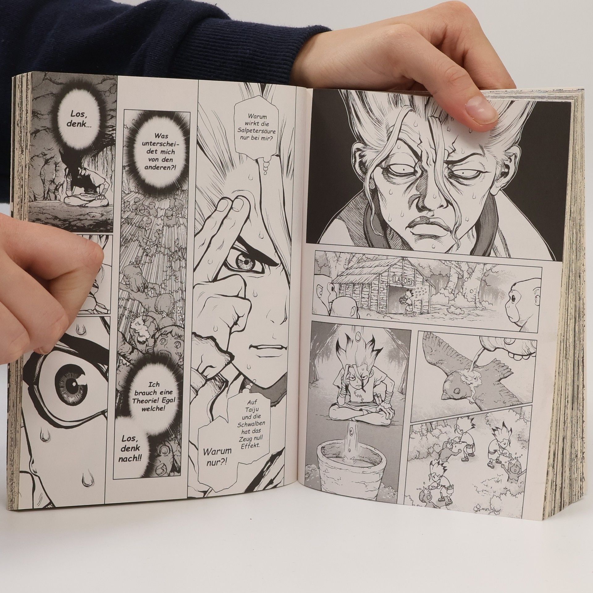 Riichiro Inagaki Dr. Stone 2. Zwei Reiche der Stone World
