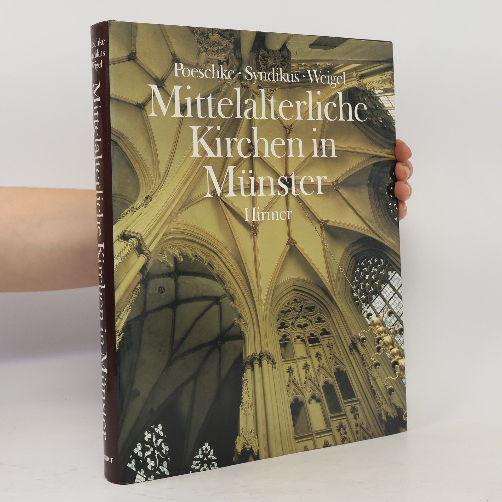 Joachim Poeschke Mittelalterliche Kirchen in Münster
