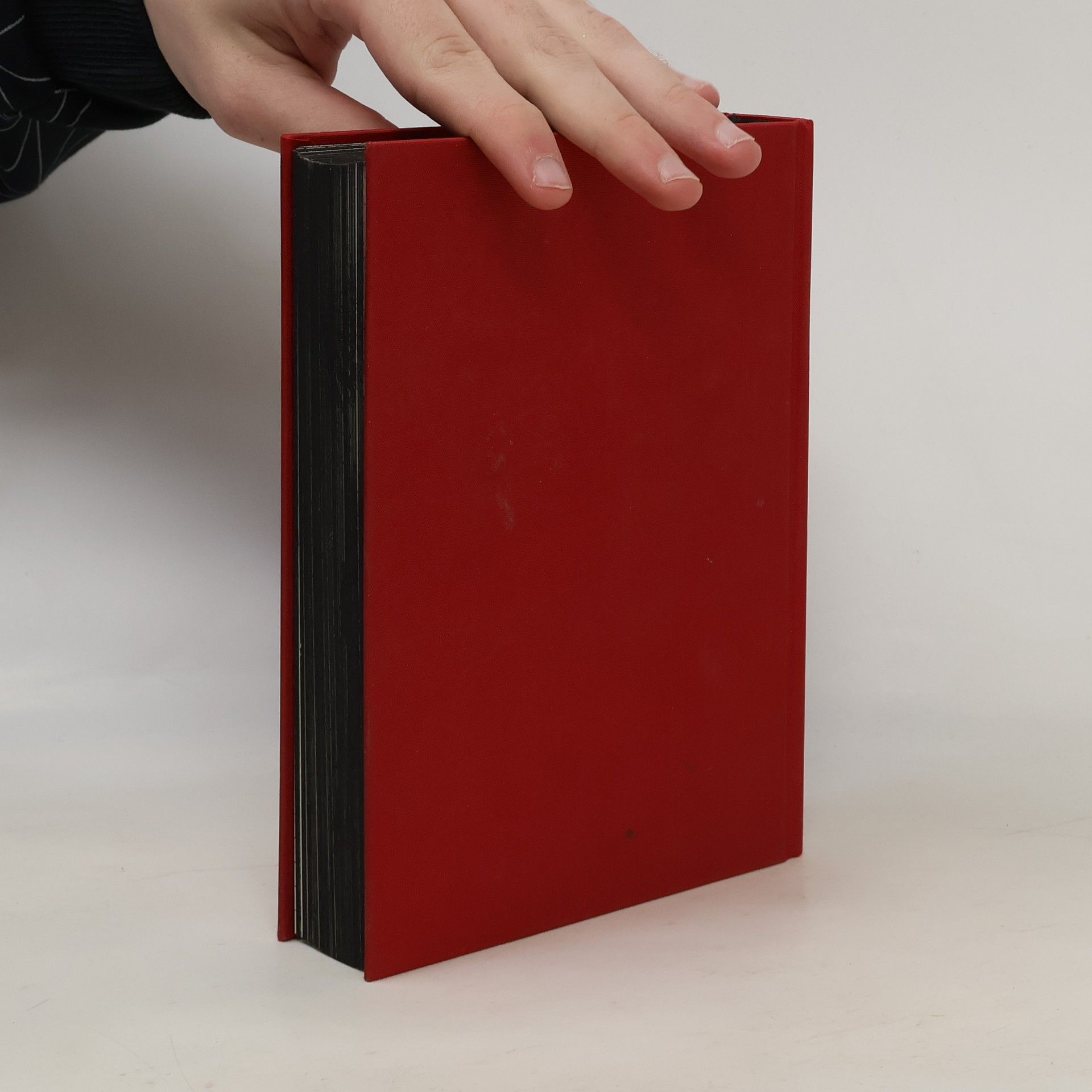 Heike Blümner Eine Frau - ein Buch