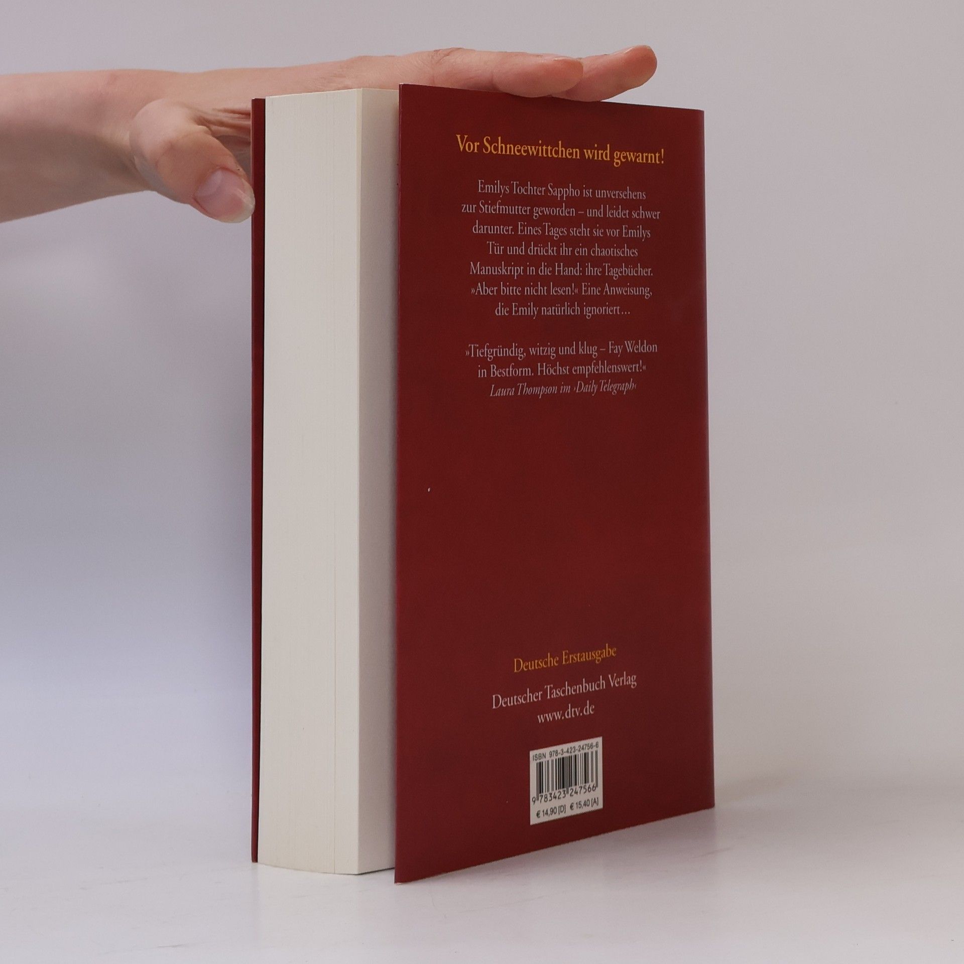 Fay Weldon Tagebuch einer Stiefmutter