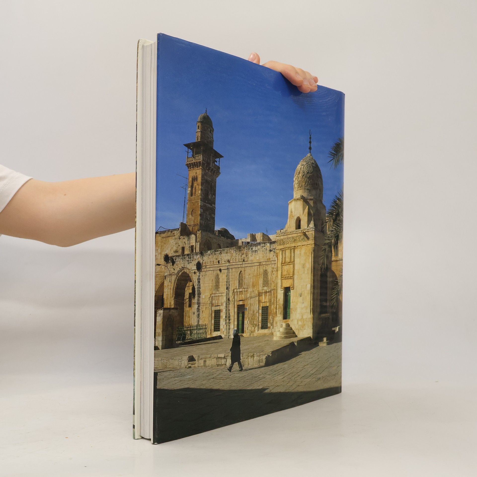 Daṿid Ḳroyanḳer Die Architektur Jerusalems