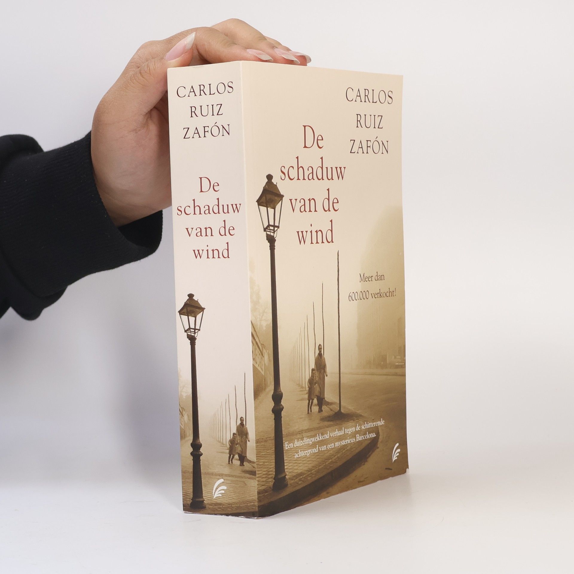 Carlos Ruiz Safon De Schaduw van de Wind