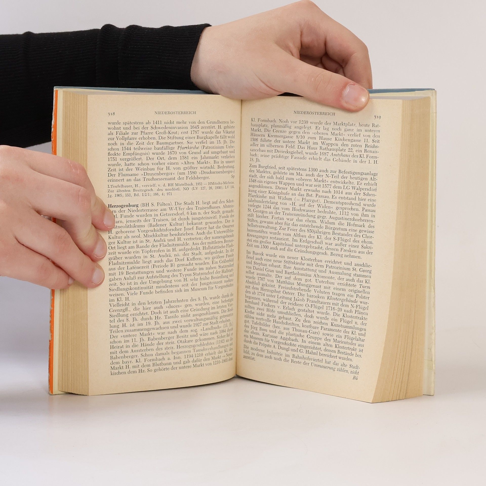 Autorenkollektiv Handbuch der historischen Stätten Österreich I.