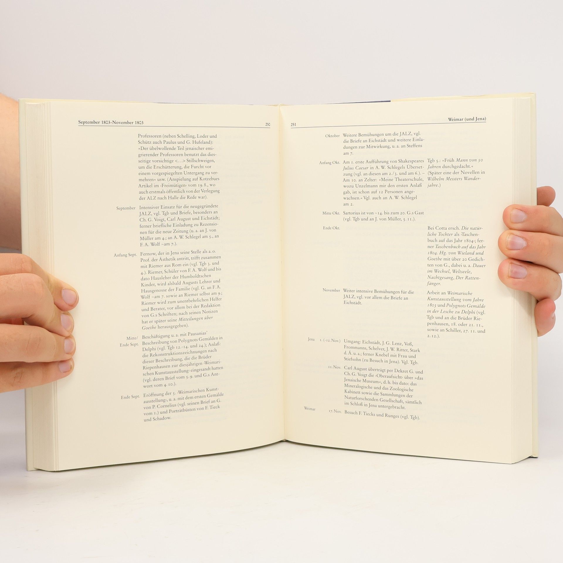 Rose Unterberger Die Goethe-Chronik