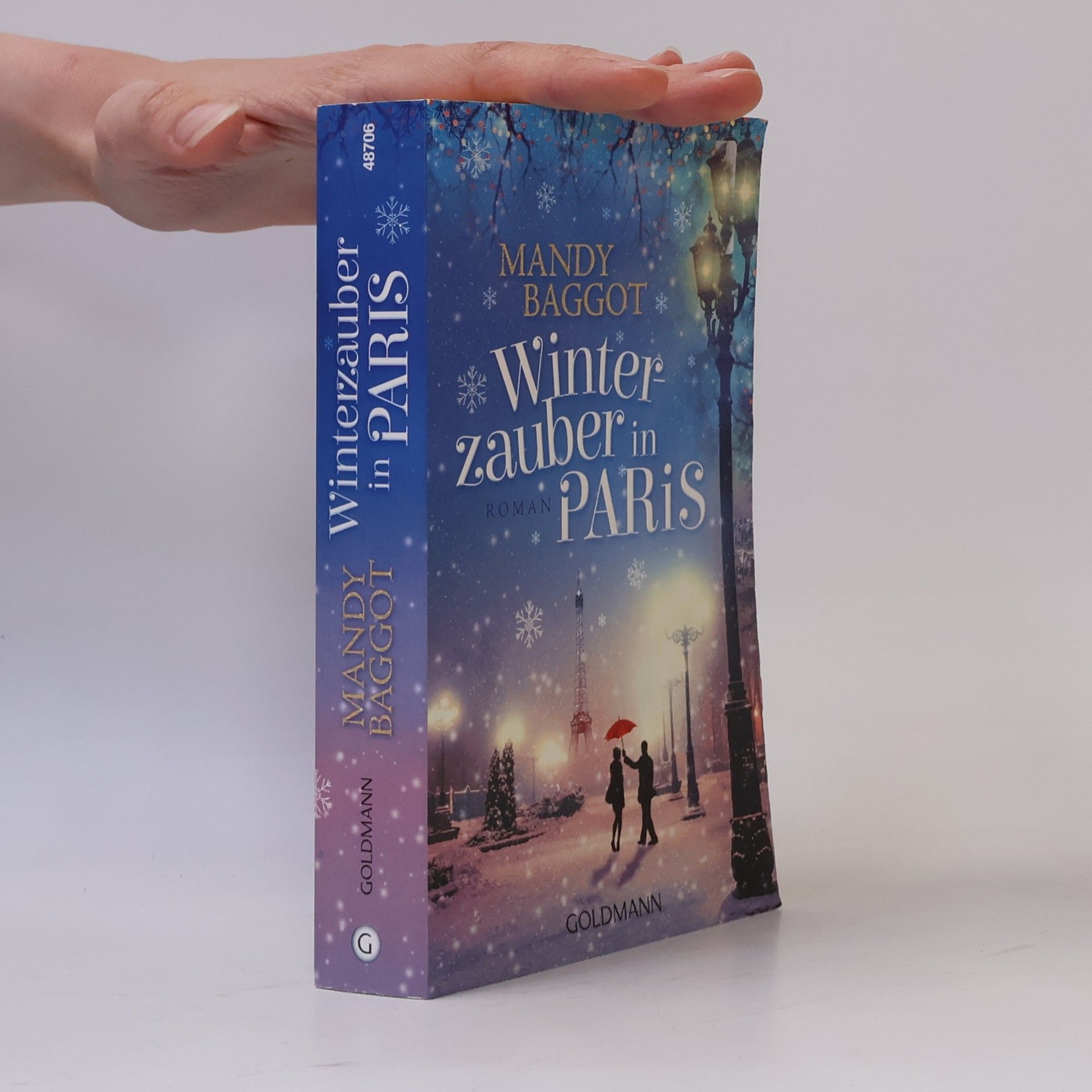 Mandy Baggot Winterzauber in Paris