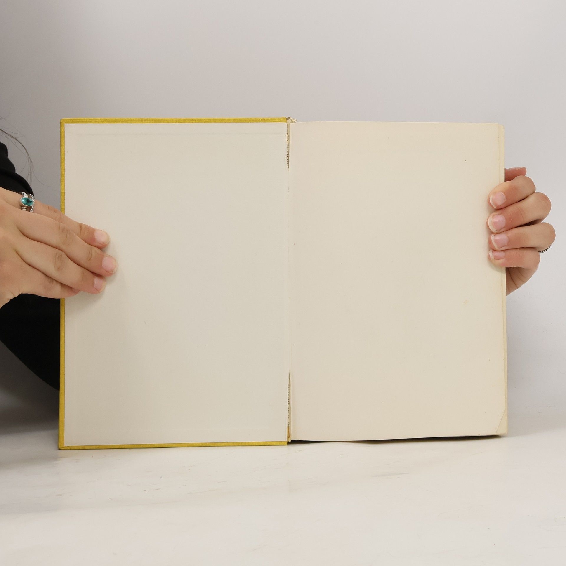 Elly Petersen Das gelbe Kochbuch