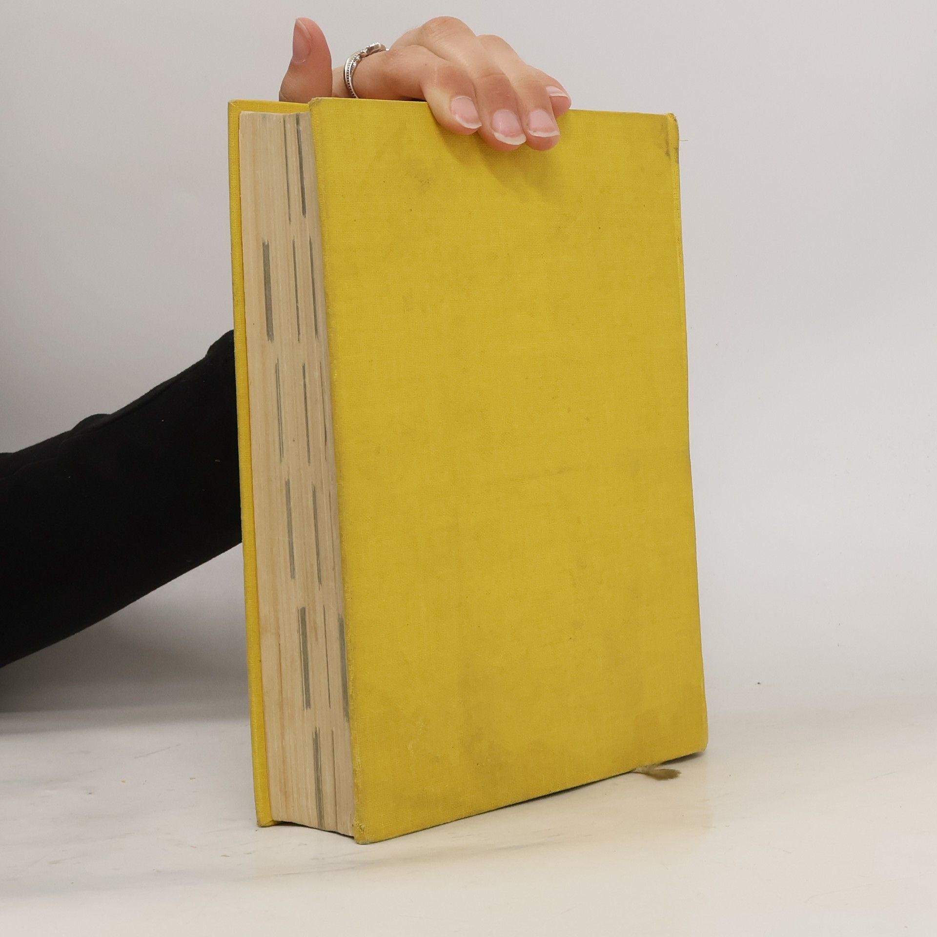 Elly Petersen Das gelbe Kochbuch