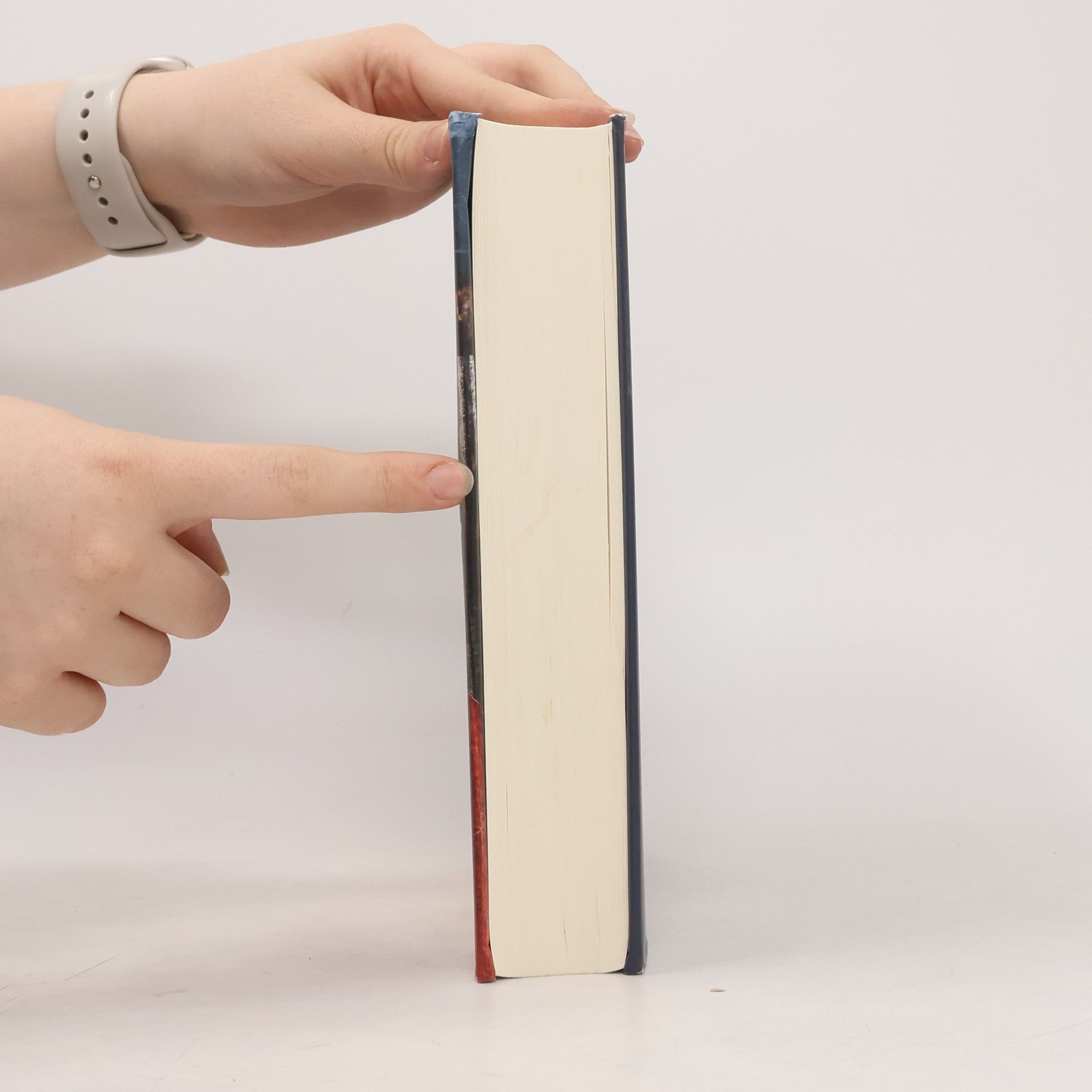 Jennifer Haigh Licht und Glut