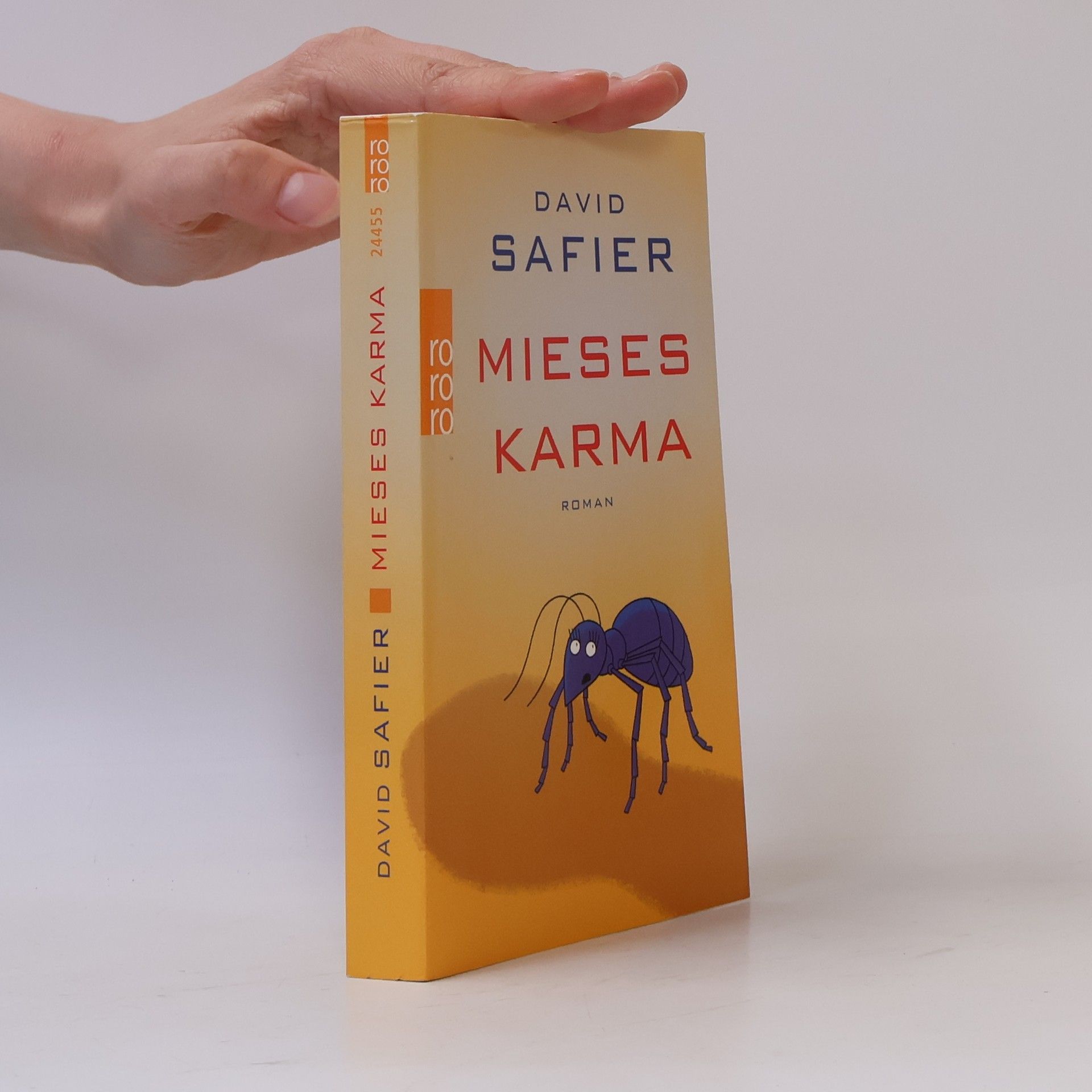 David Safier Mieses Karma