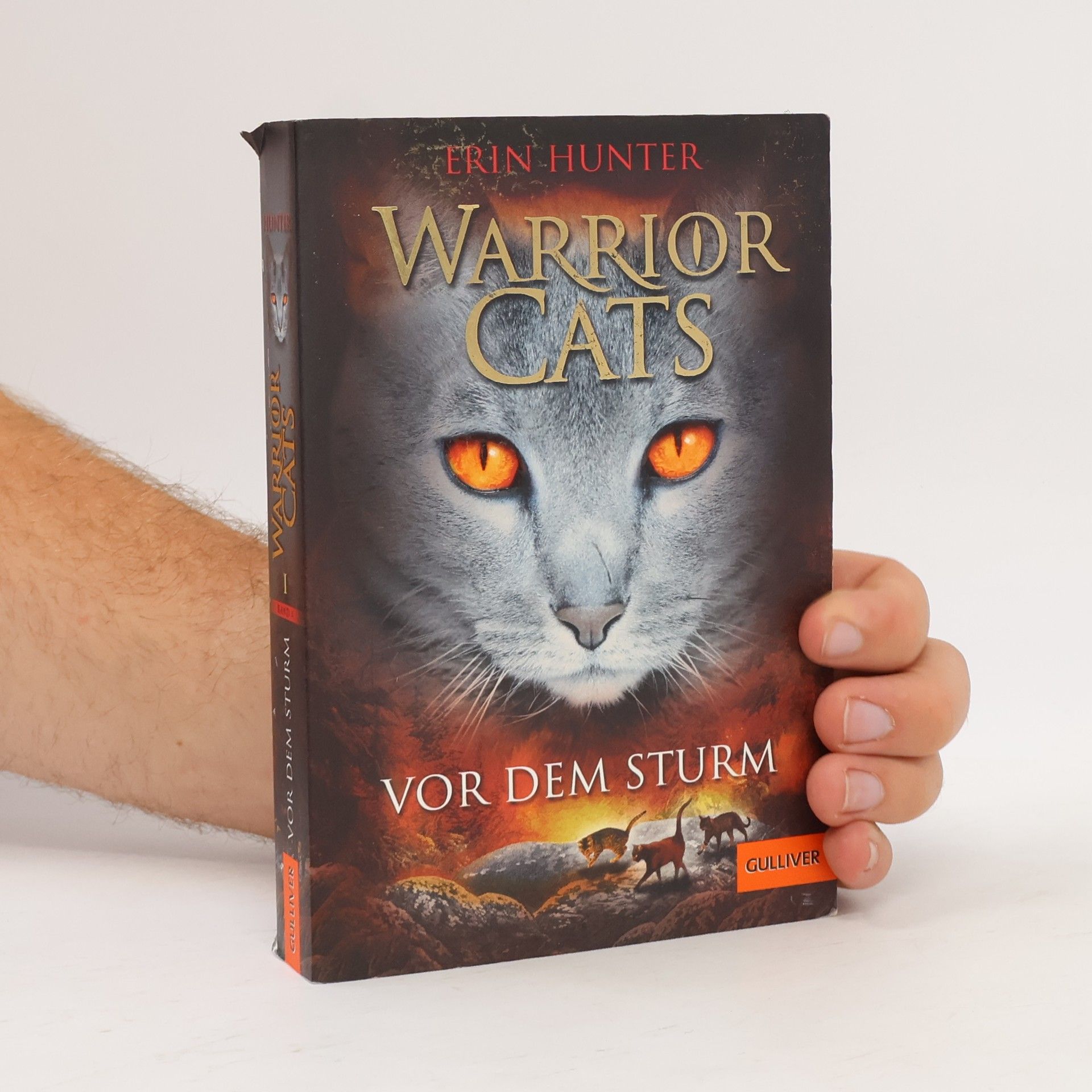 Erin Hunter Warrior Cats. Vor dem Sturm