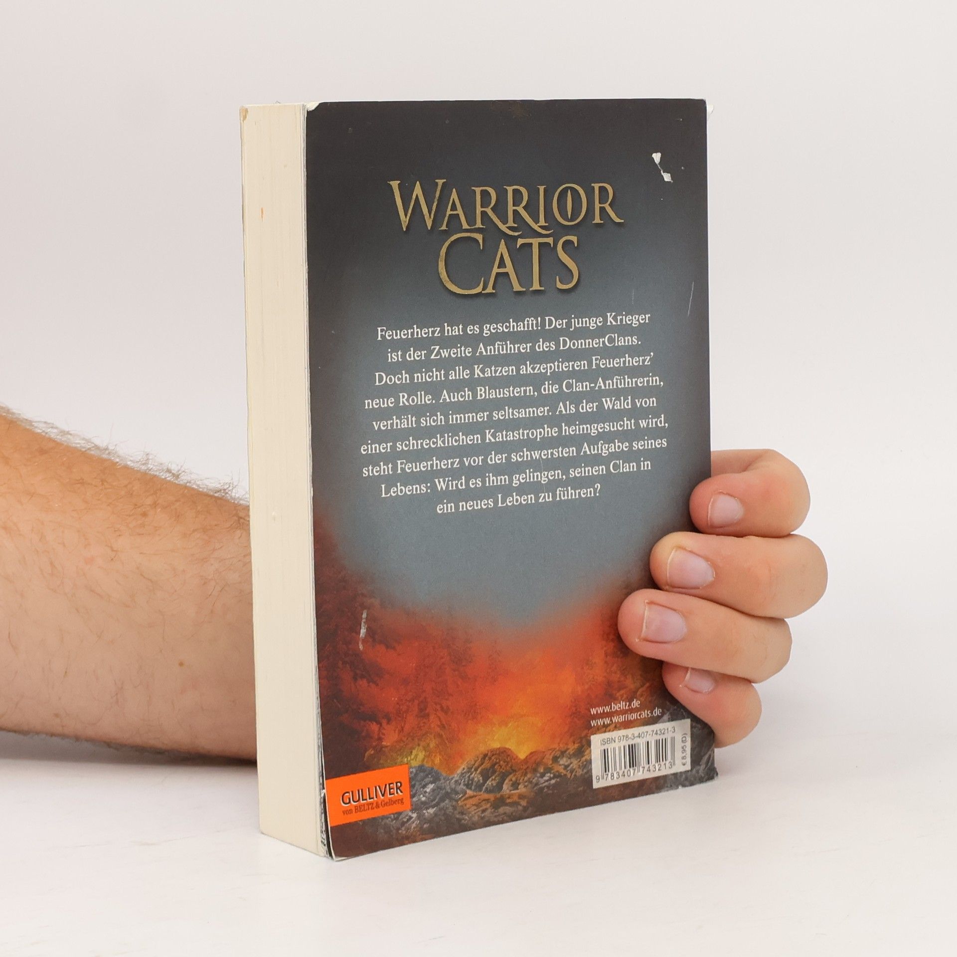 Erin Hunter Warrior Cats. Vor dem Sturm