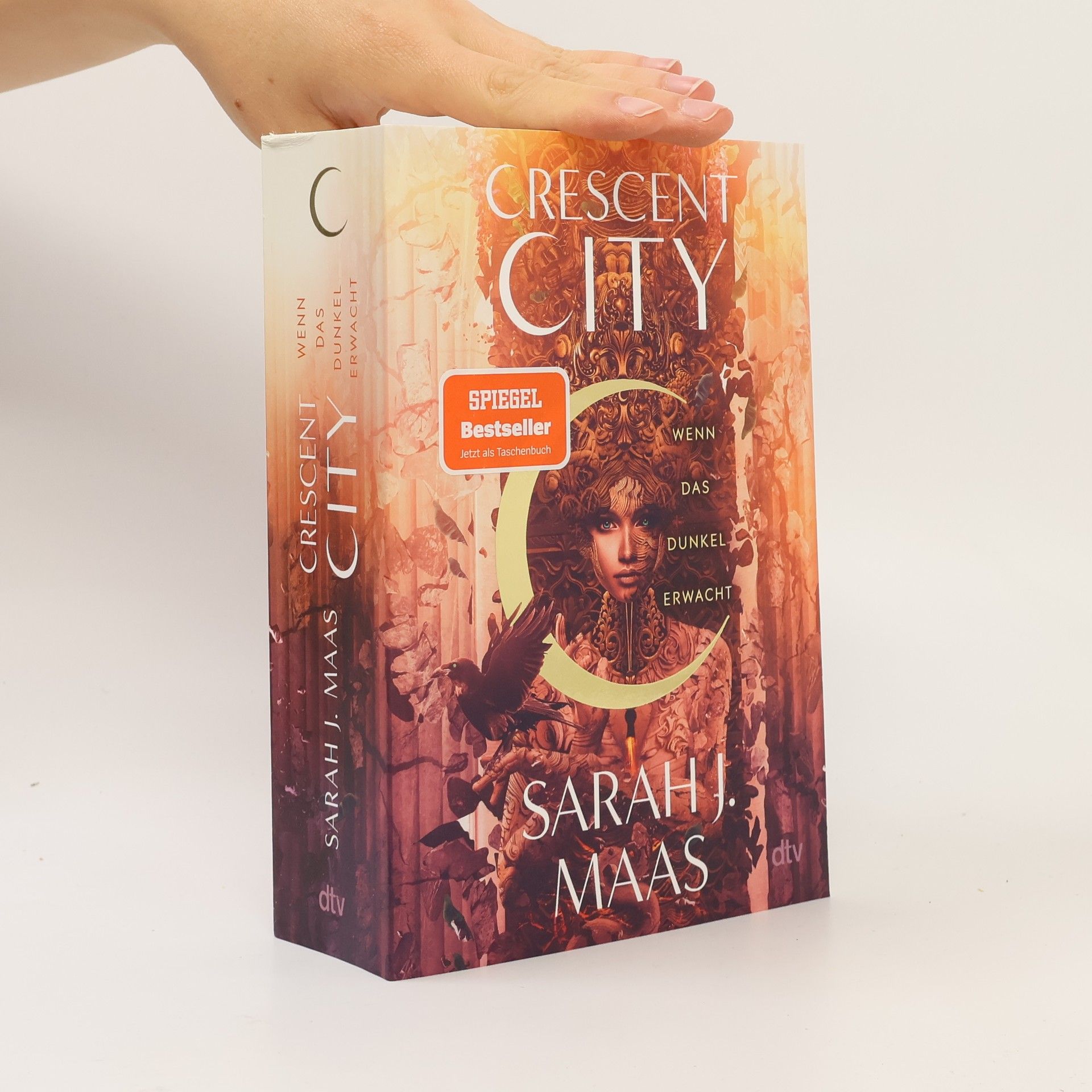 Sarah J. Maas Crescent City-Reihe - 1: Crescent City - Wenn das Dunkel erwacht