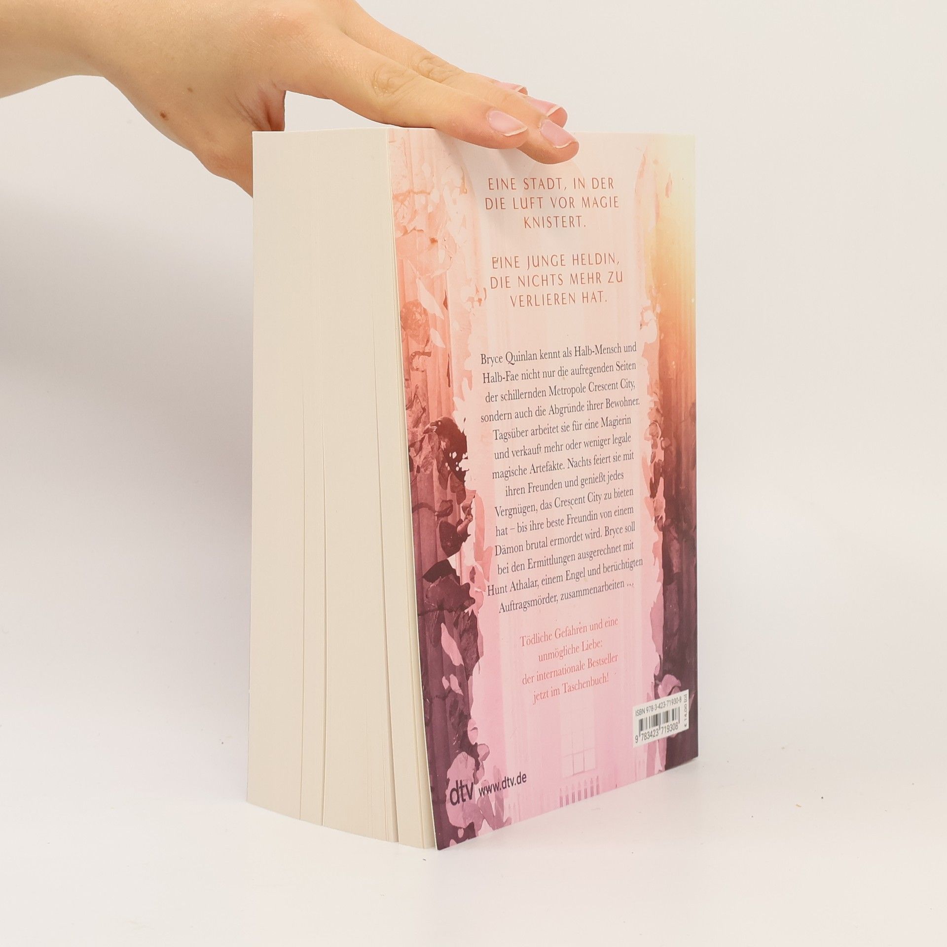 Sarah J. Maas Crescent City-Reihe - 1: Crescent City - Wenn das Dunkel erwacht