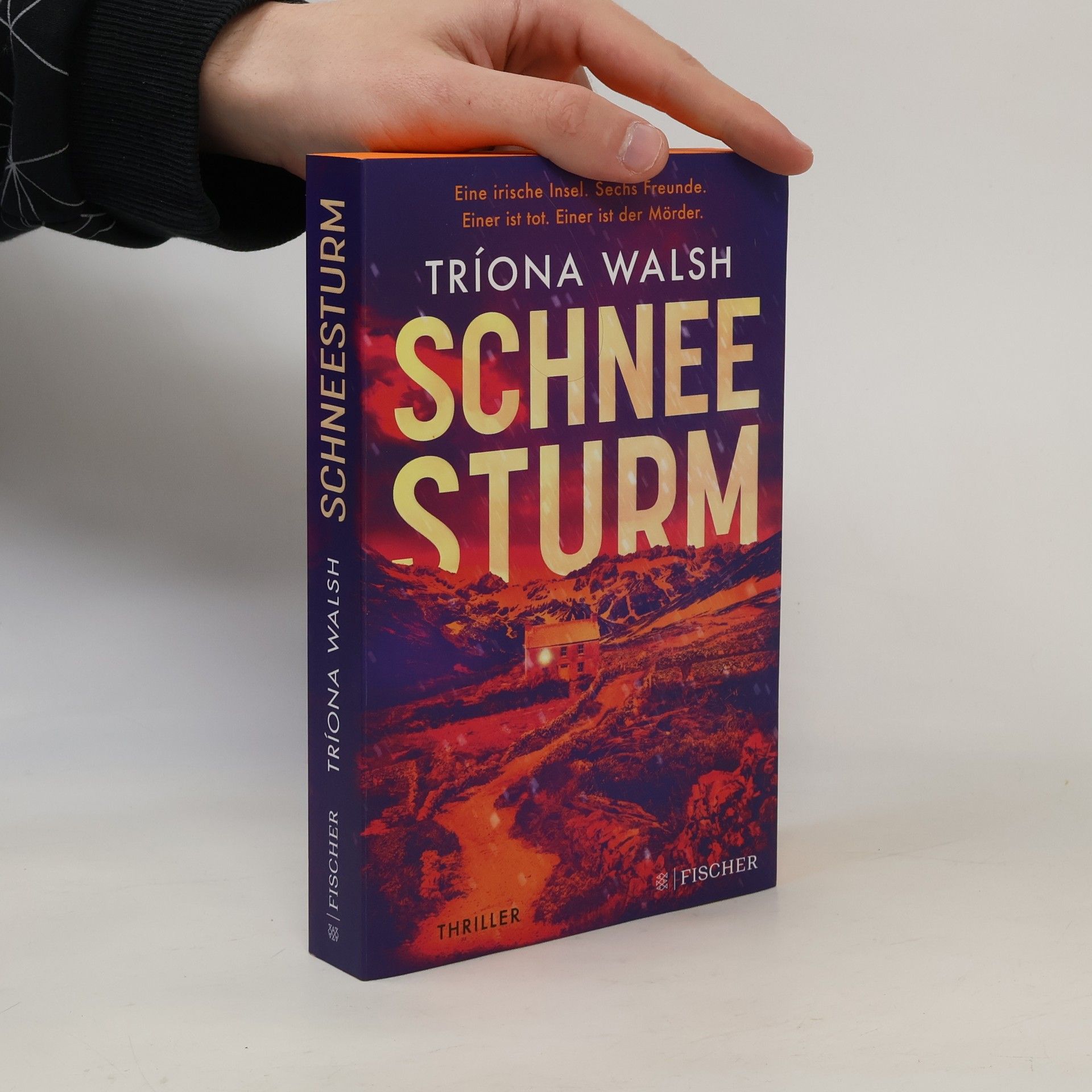 Tríona Walsh Schneesturm
