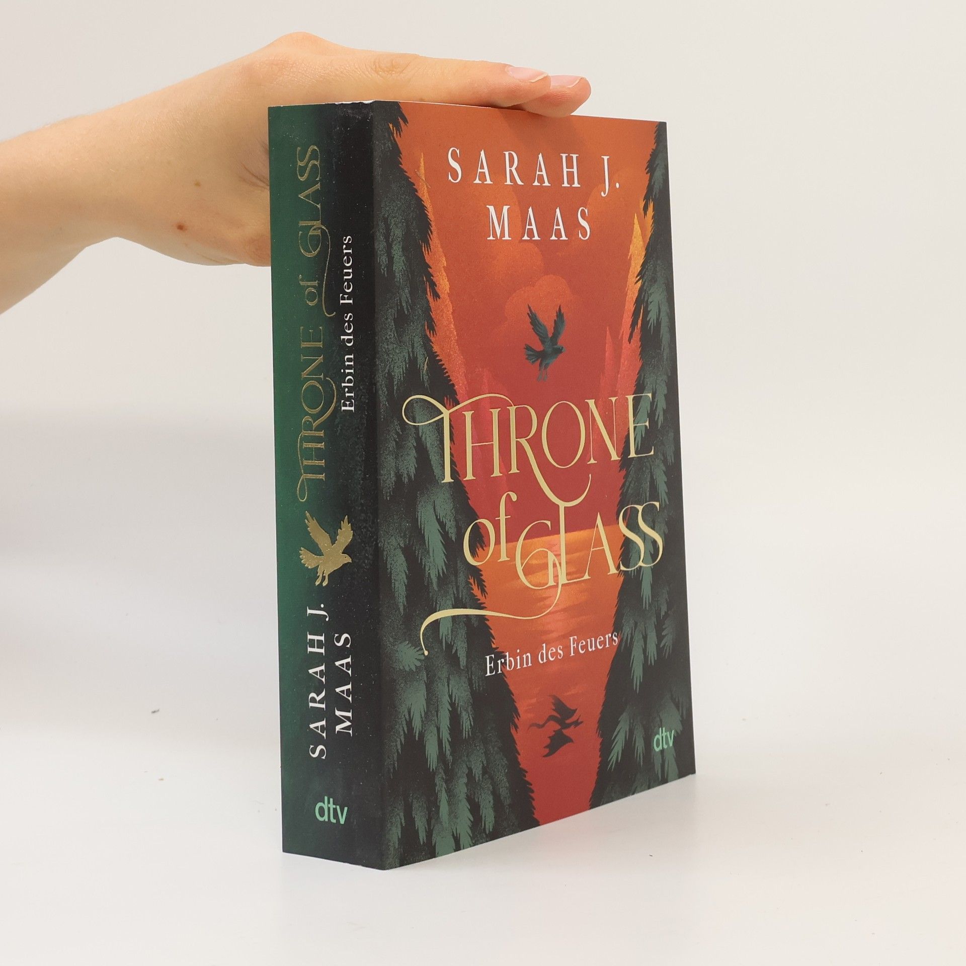 Sarah J. Maas Erbin des Feuers