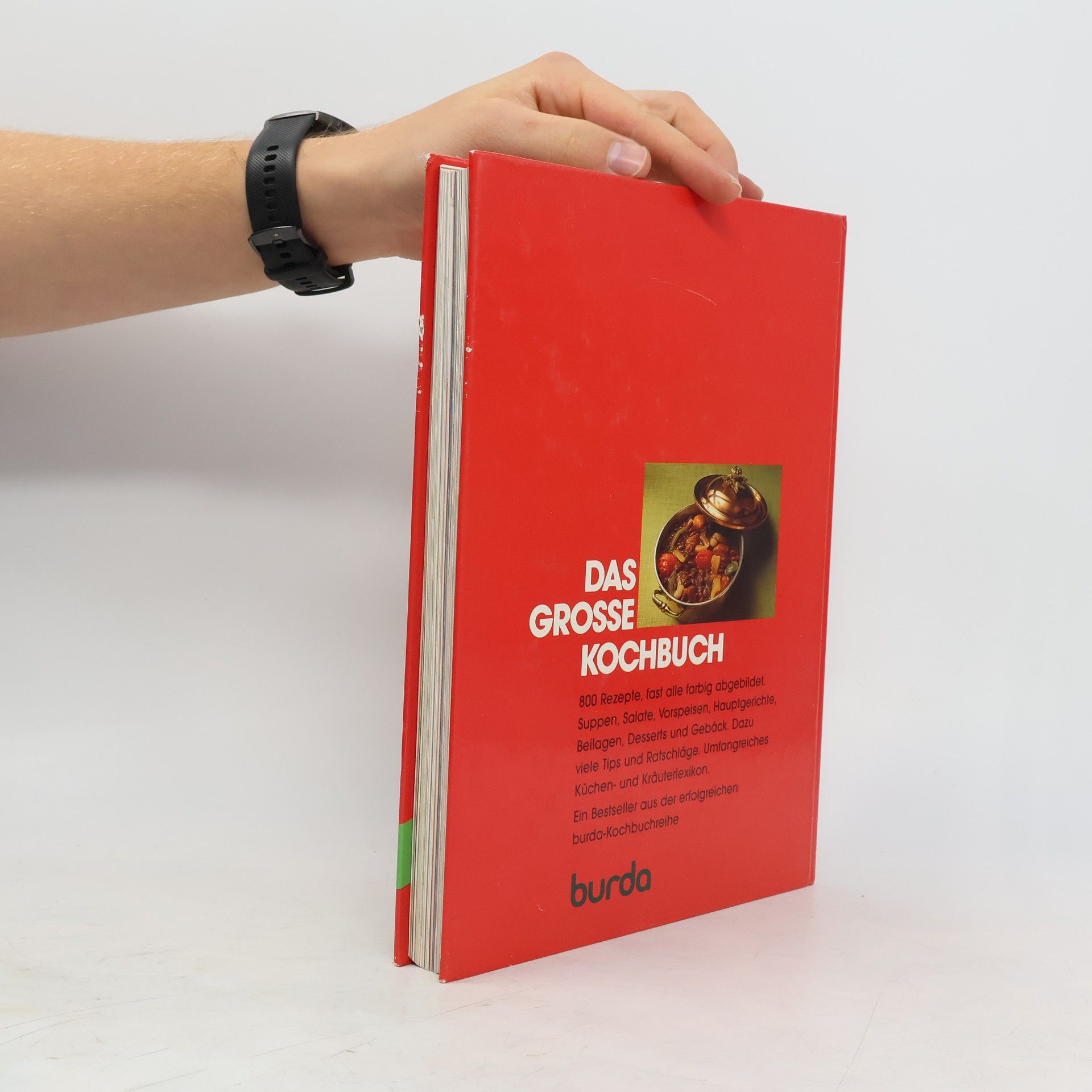 Renate Derndinger Das grosse Kochbuch