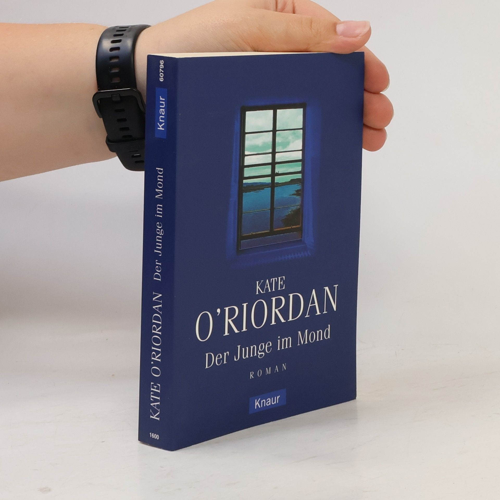 Kate O. Riordan Der Junge im Mond