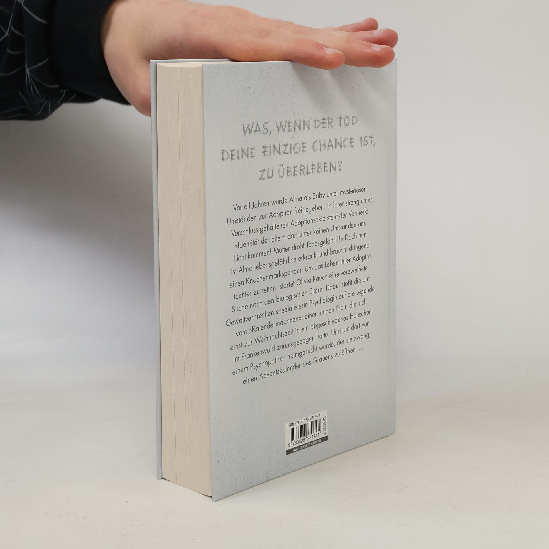 Sebastian Fitzek Das Kalendermädchen
