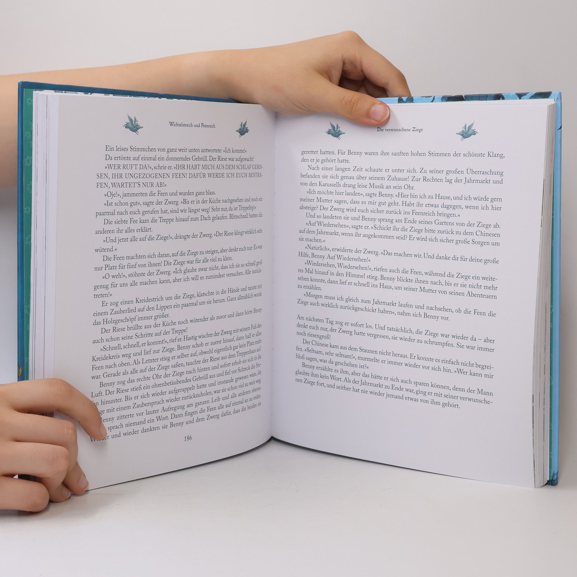 Enid Blyton Wichtelstreich und Feenreich - Die schönsten Zaubergeschichten