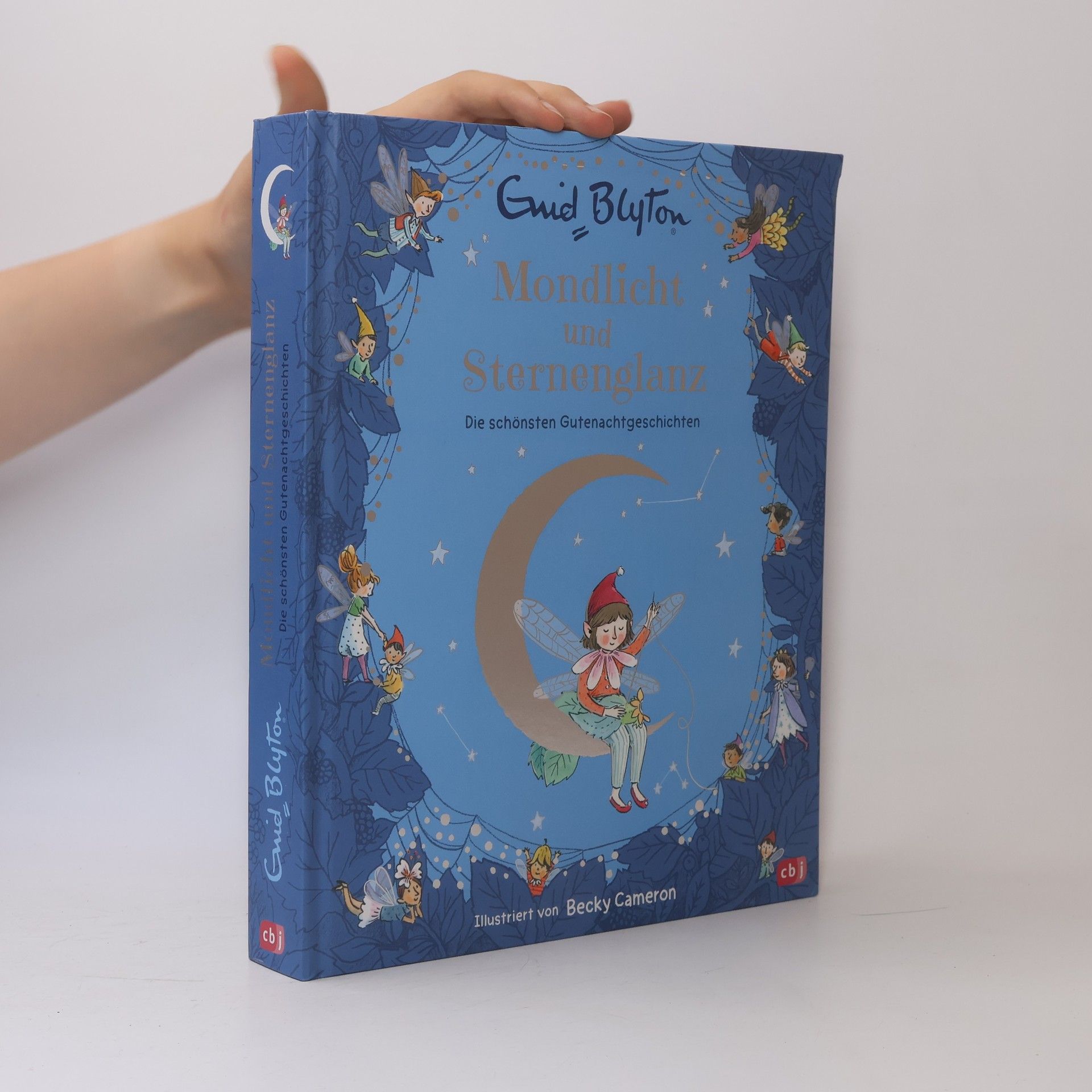 Enid Blyton Mondlicht und Sternenglanz - Die schönsten Gutenachtgeschichten
