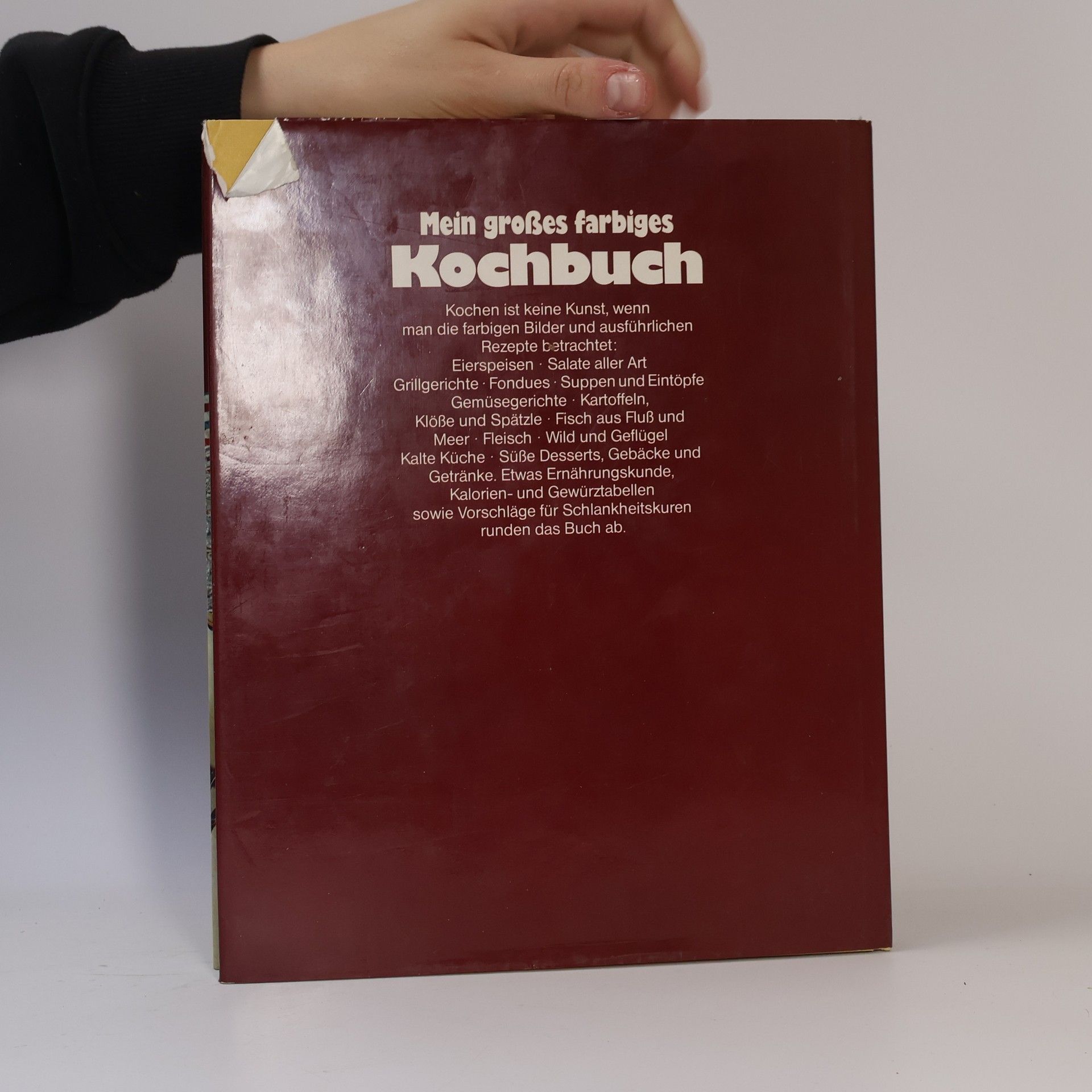 Katrin Gerlach Mein großes farbiges. Kochbuch