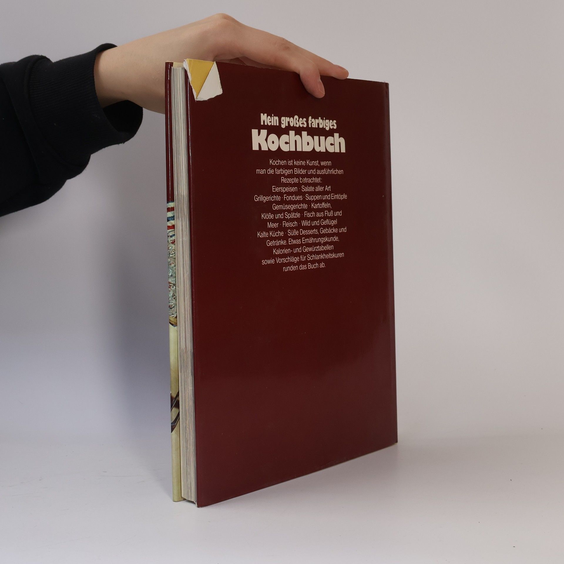Katrin Gerlach Mein großes farbiges. Kochbuch