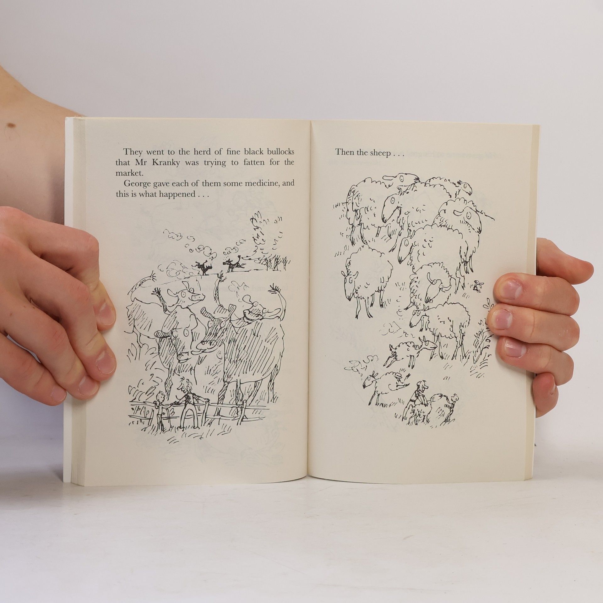 Roald Dahl George's Marvellous Medicine