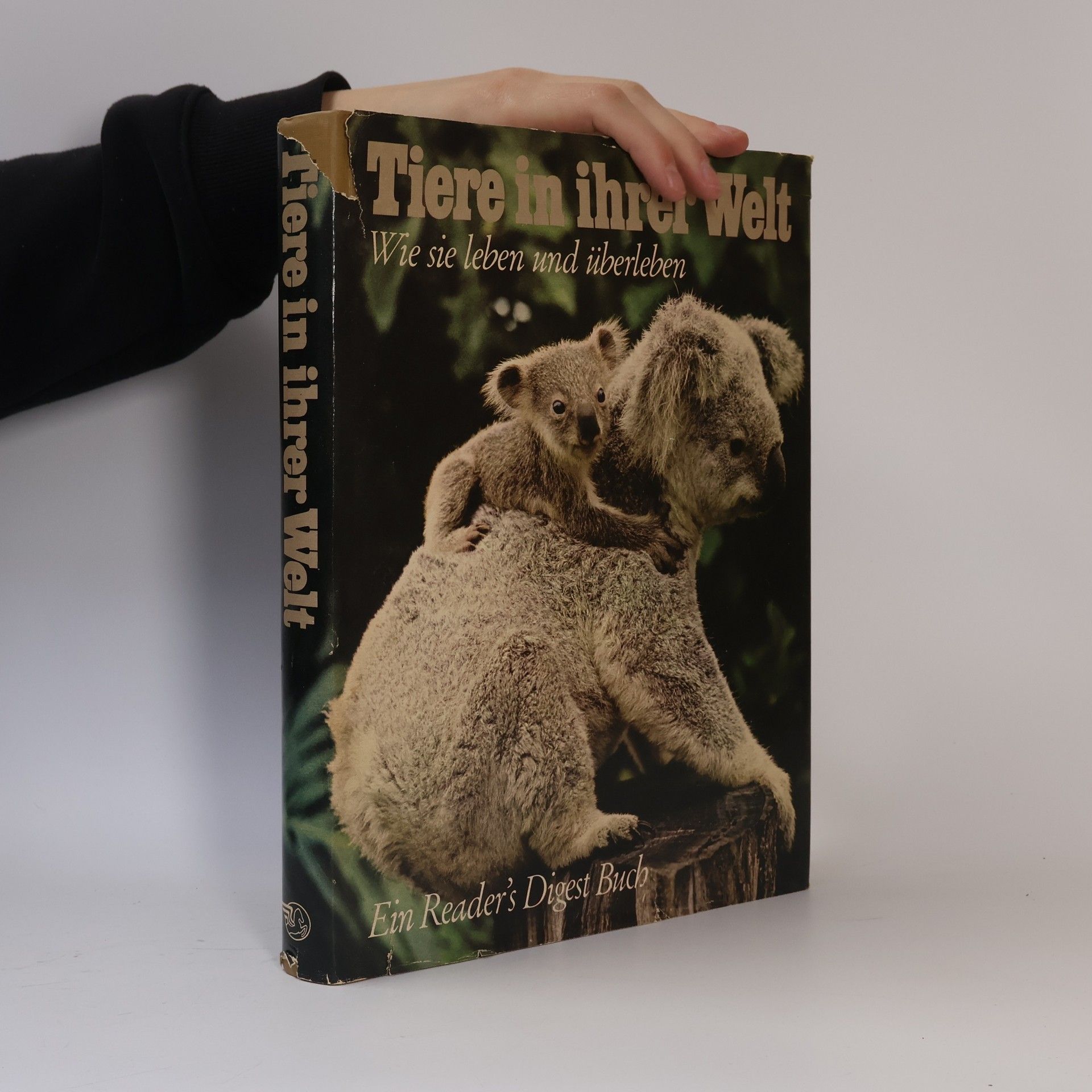 Norman John Berrill Tiere in ihrer Welt