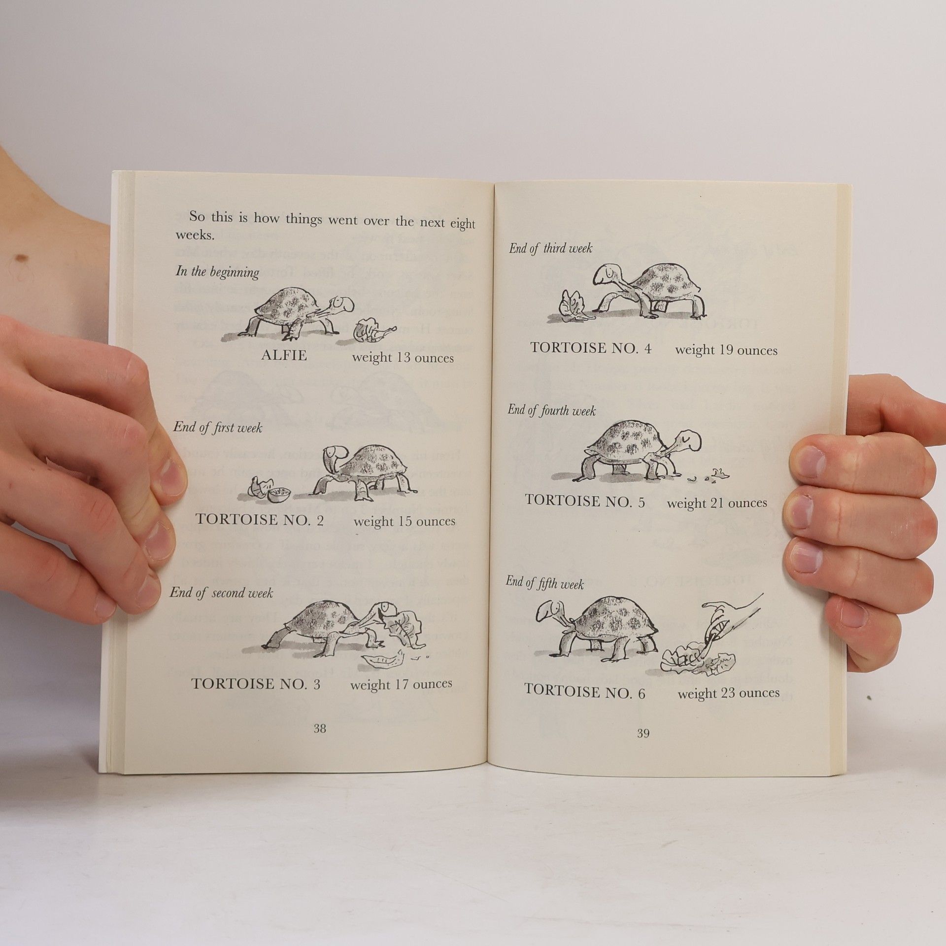 Roald Dahl Esio trot