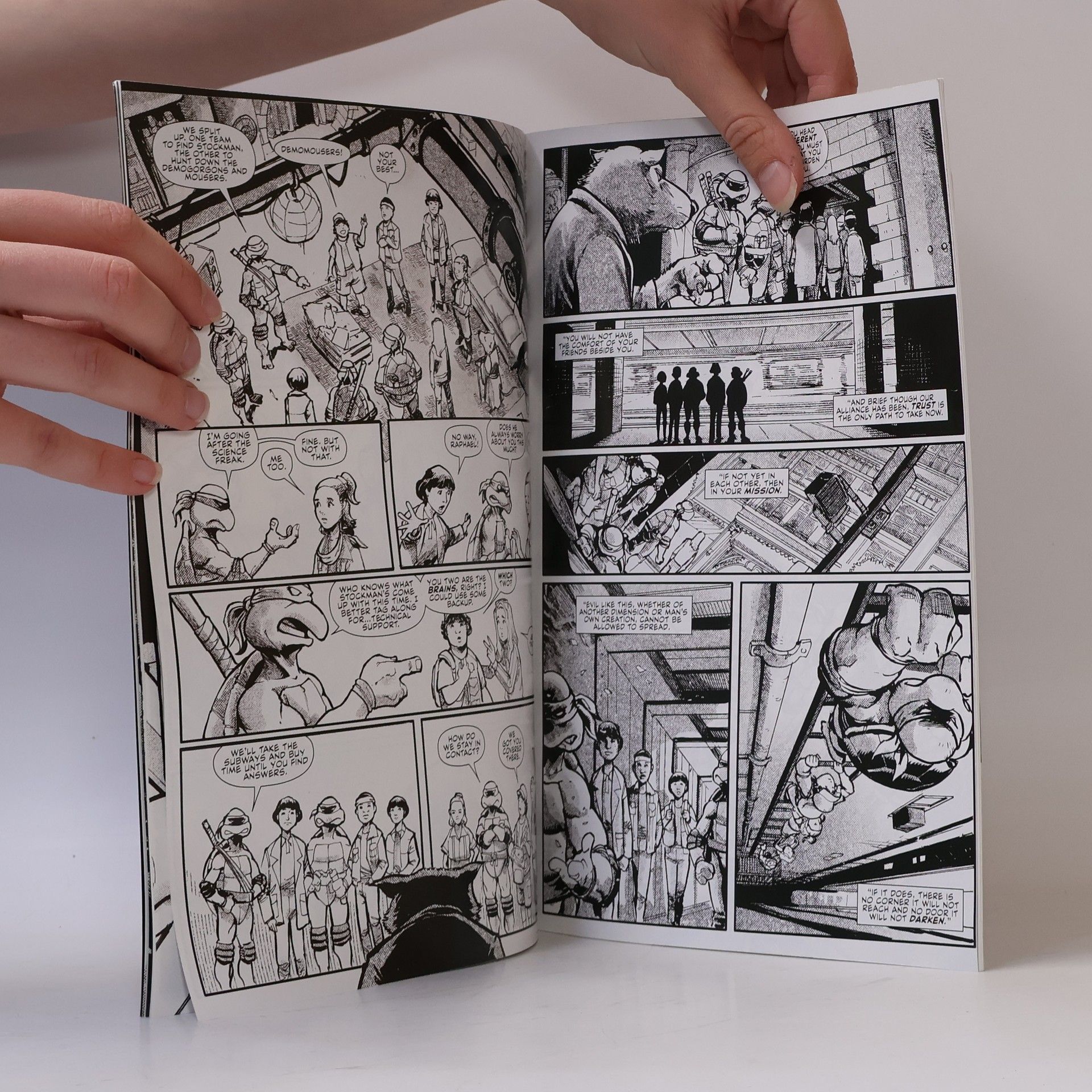 Collectif d'auteurs Teenage Mutant Ninja Turtles x Stranger Things 1