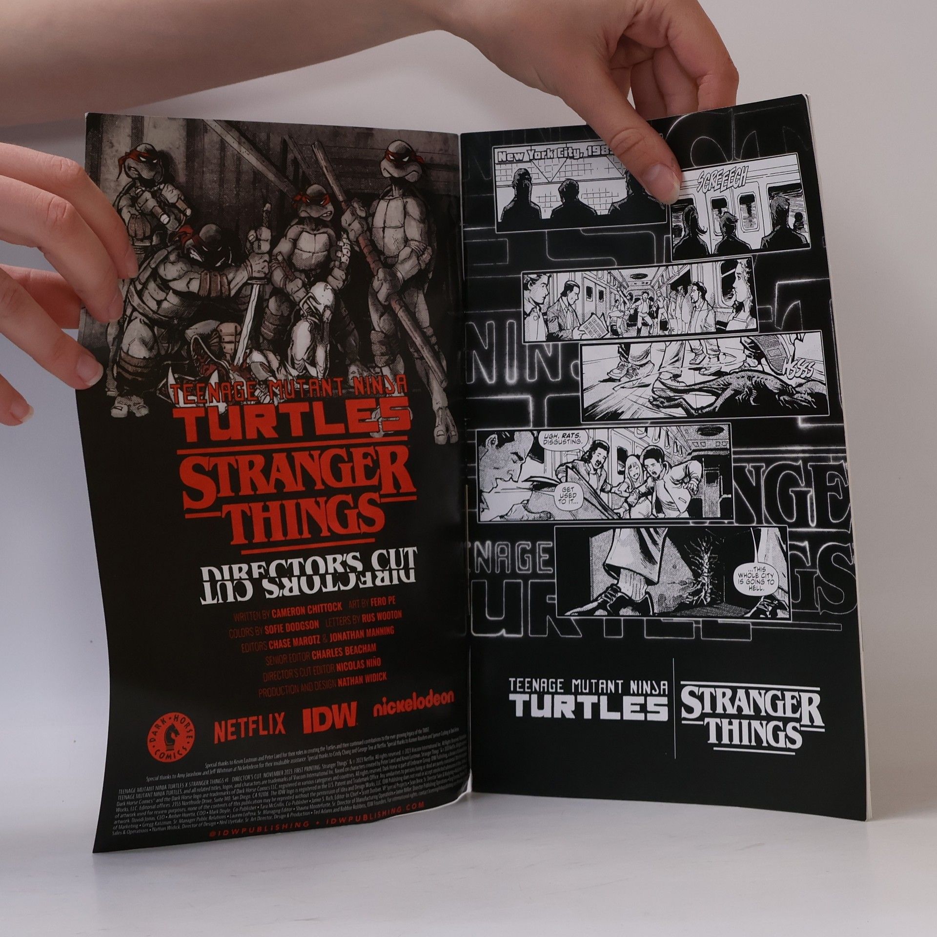 Collectif d'auteurs Teenage Mutant Ninja Turtles x Stranger Things 1