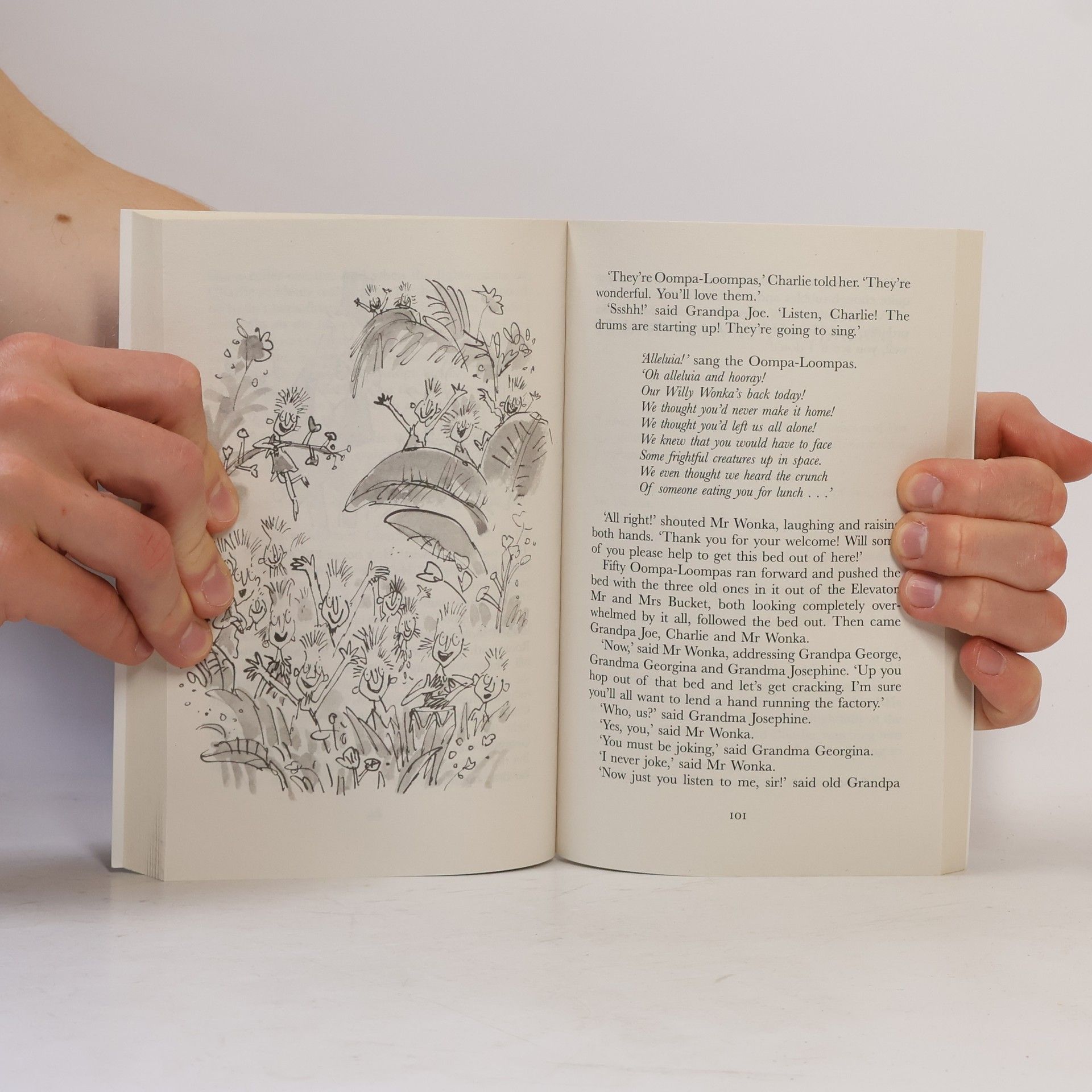 Roald Dahl Charlie and the Great Glass Elevator