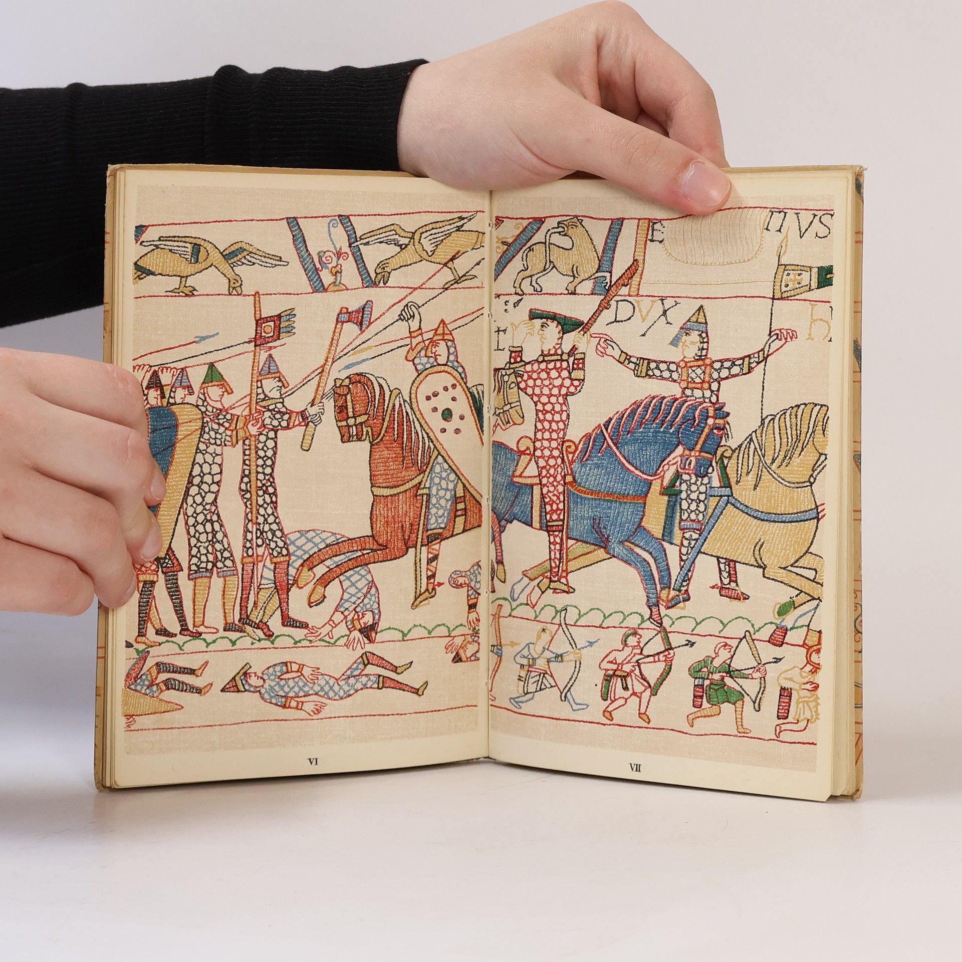 Auteurscollectief The Bayeux Tapestry
