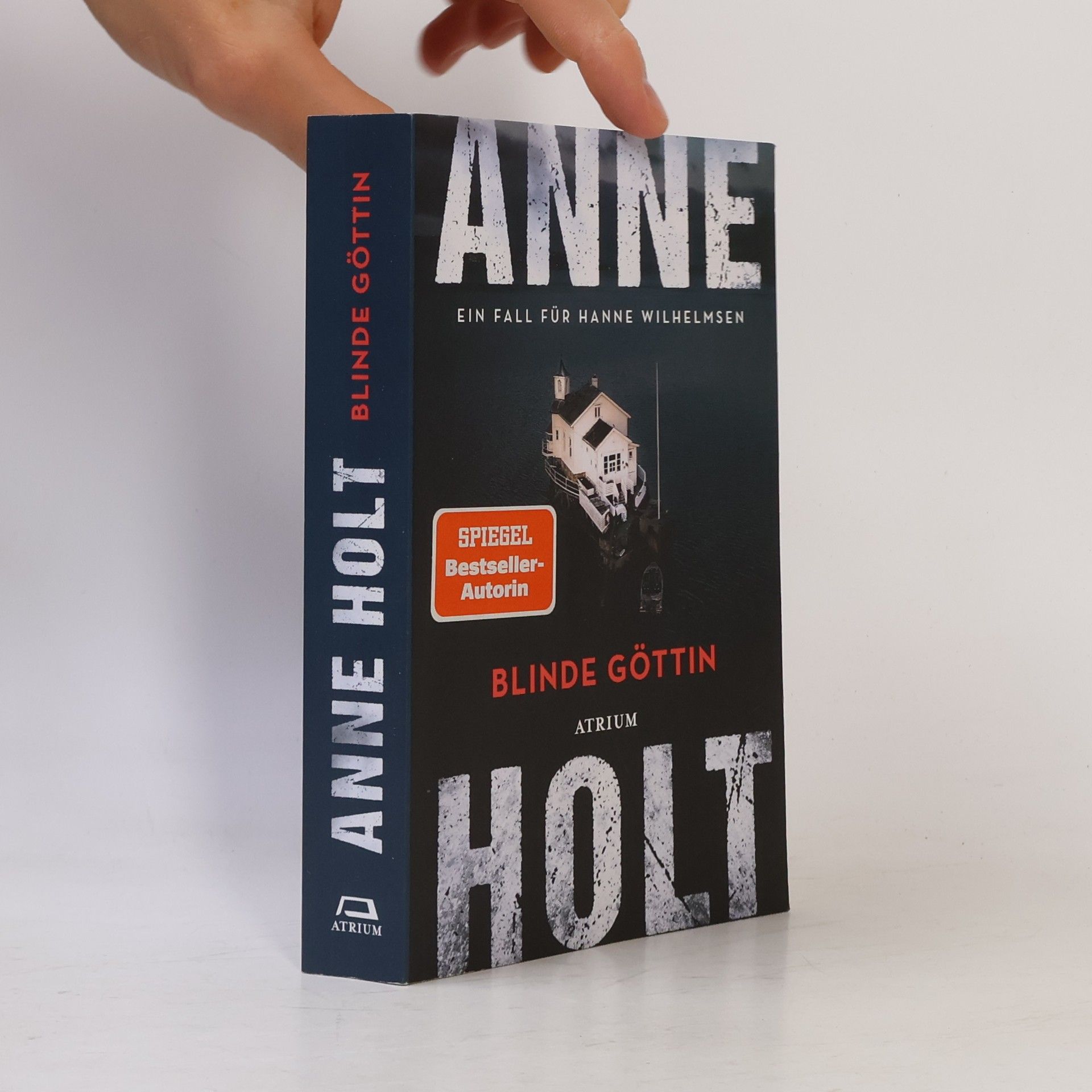 Anne Holt Blinde Göttin