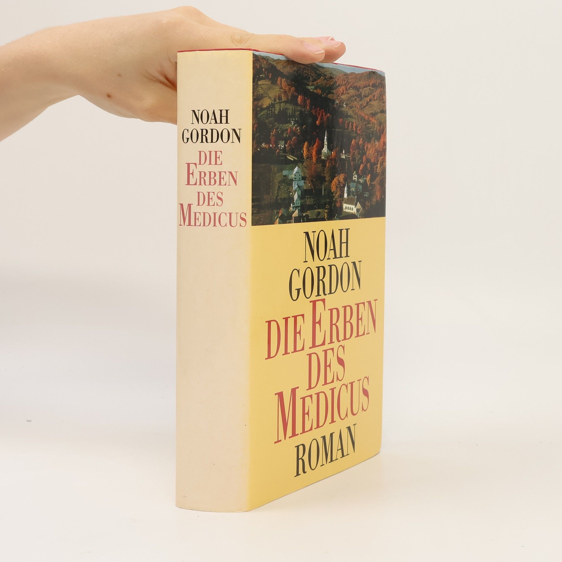 Noah Gordon Die Erben des Medicus