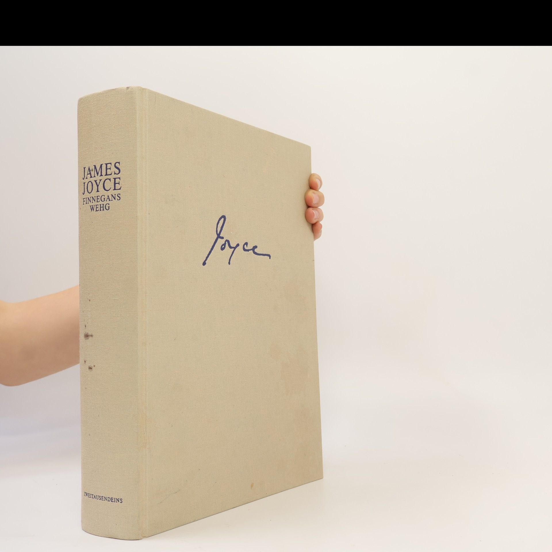 James Joyce Finnegans Wehg