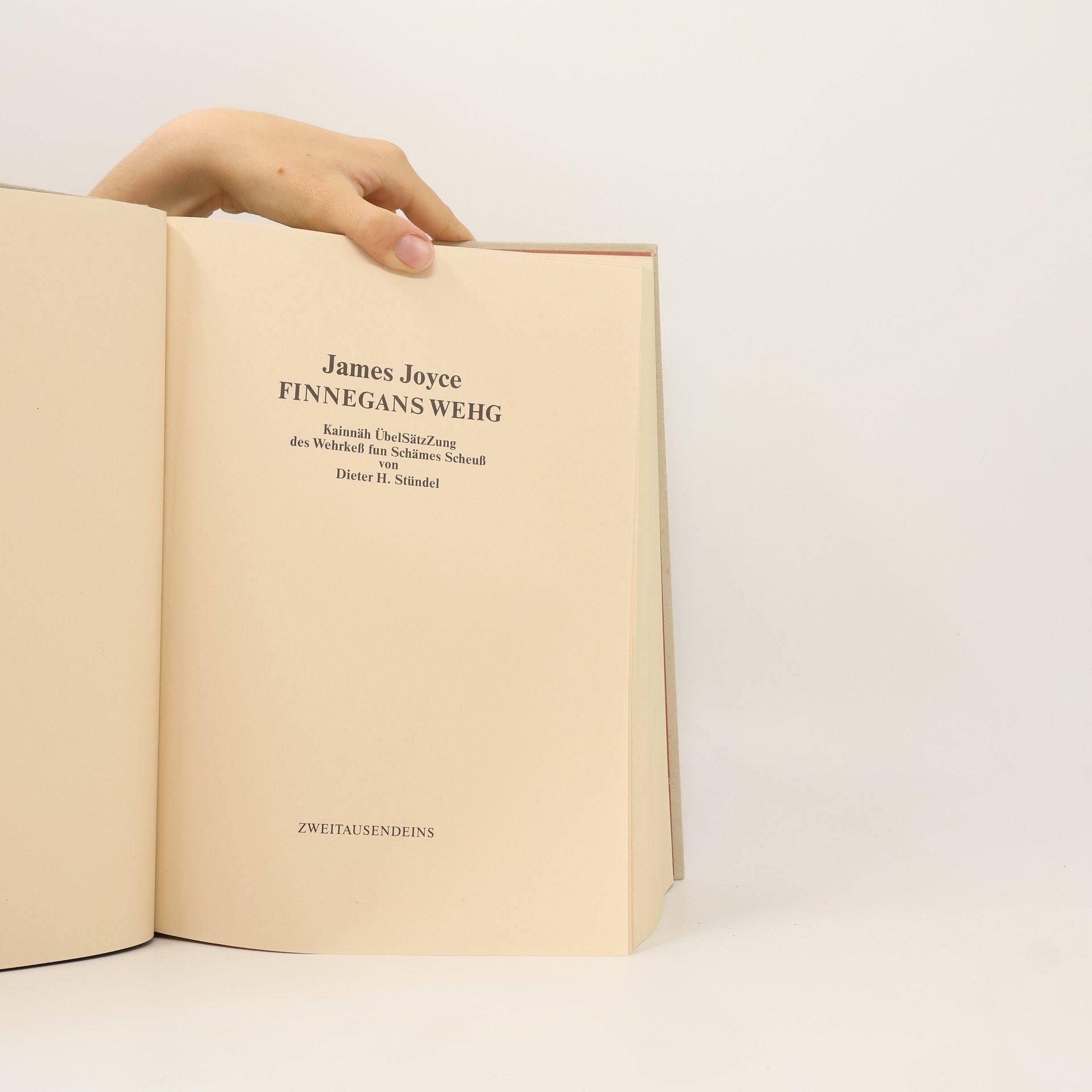 James Joyce Finnegans Wehg