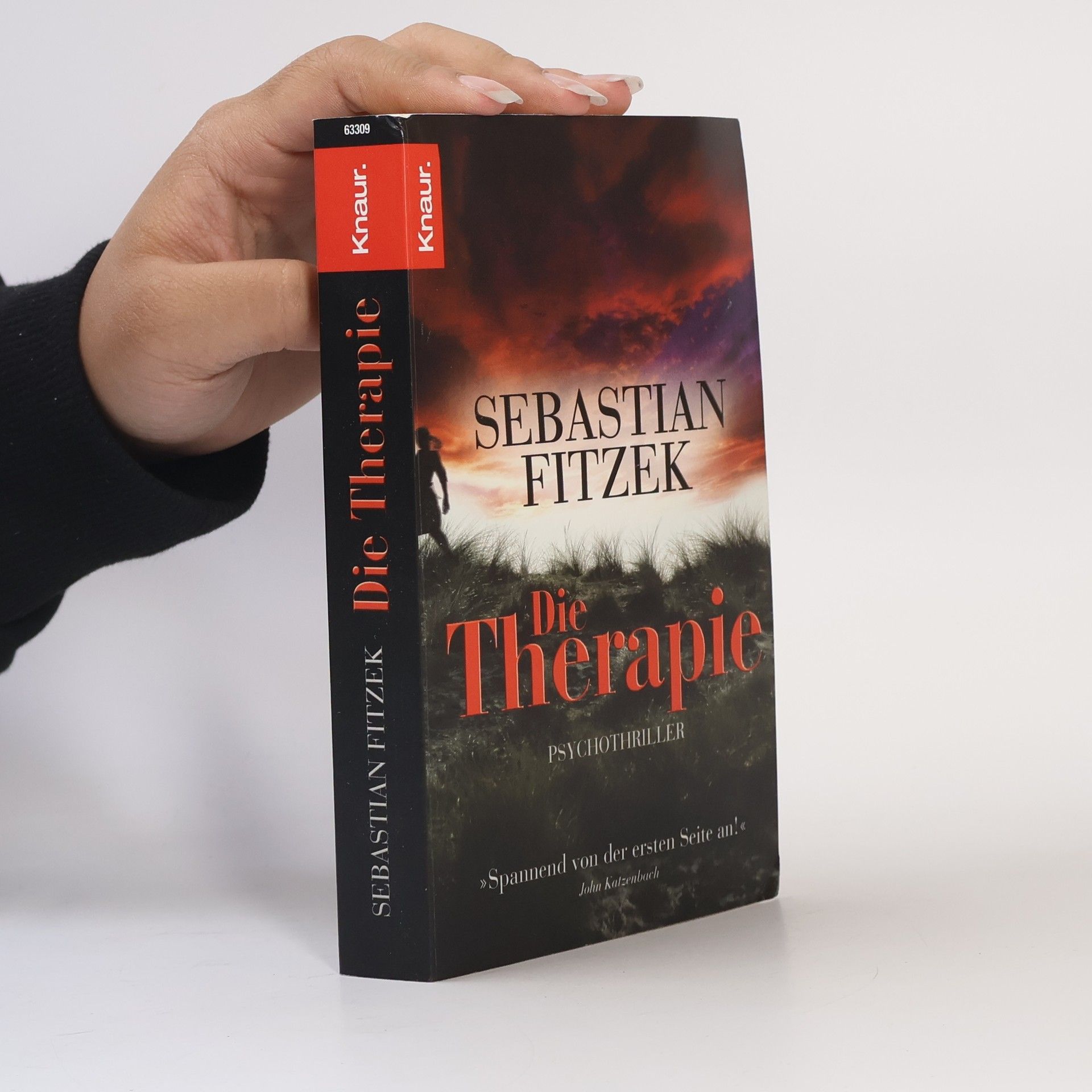 Sebastian Fitzek Die Therapie