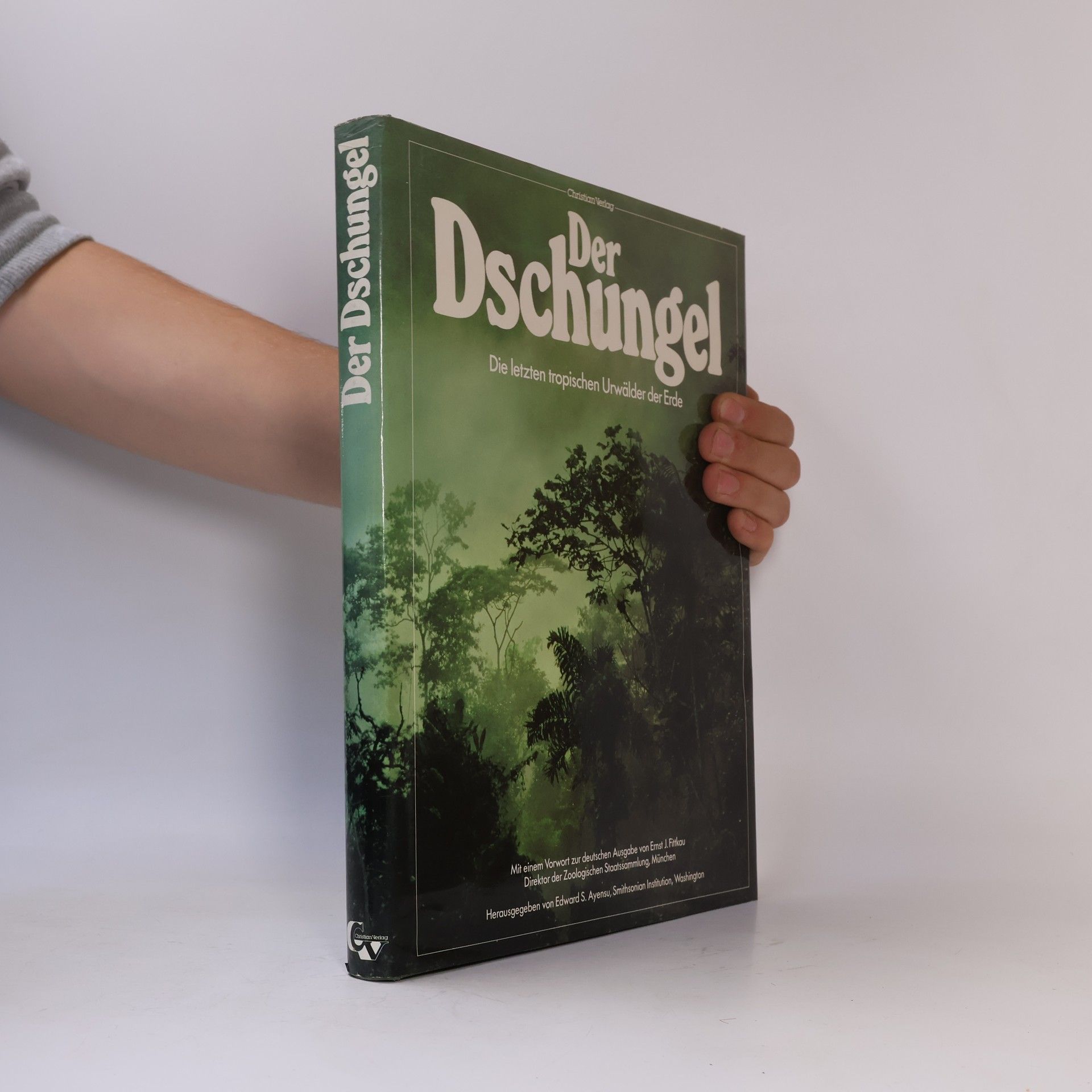 Der Dschungel