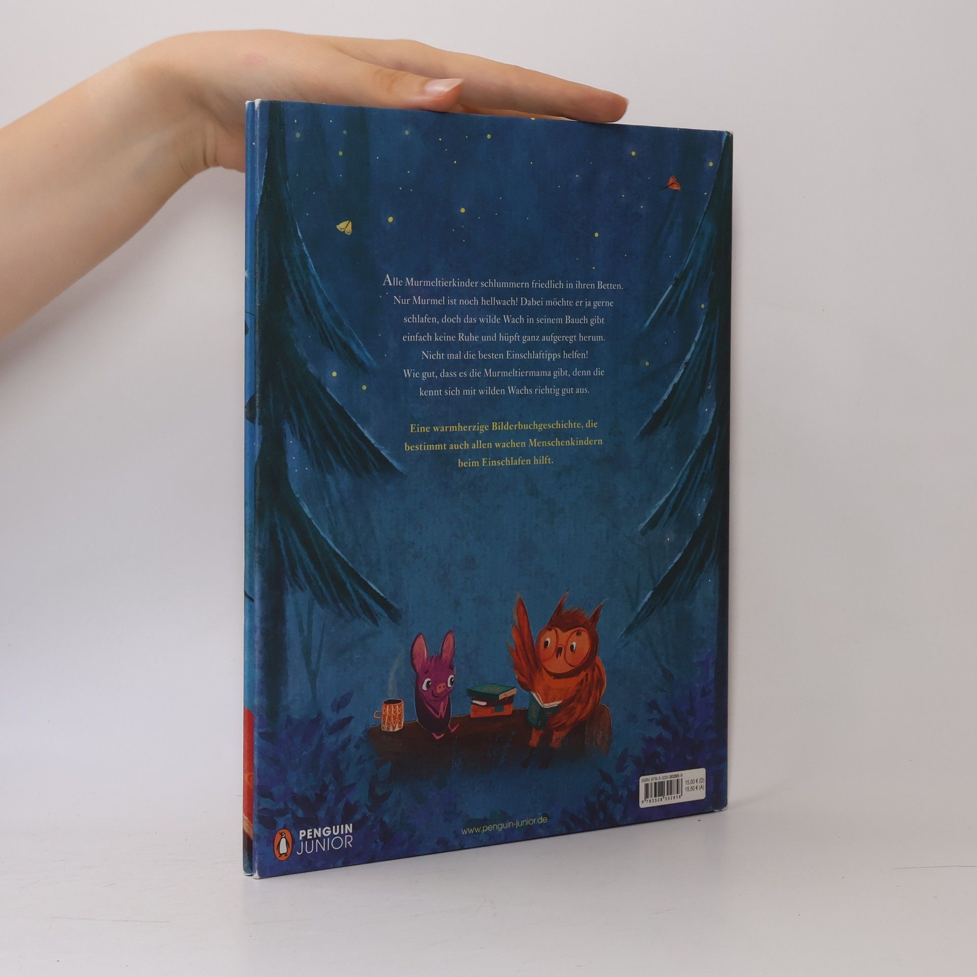 Annette Moser Murmel und das wilde Wach. BIlderbuch ab 4 Jahren zum Thema Einschlafen
